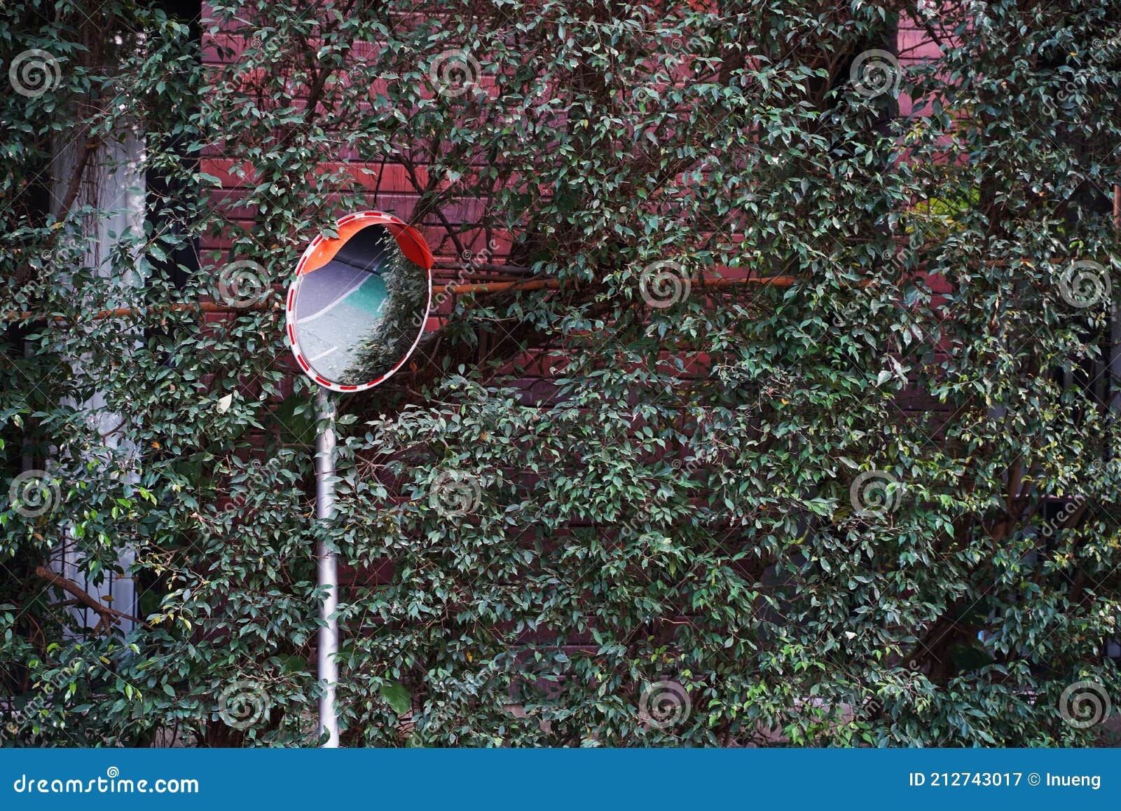 The Traffic Curve Mirror, Curved Corner Traffic Mirror on the Roadside
