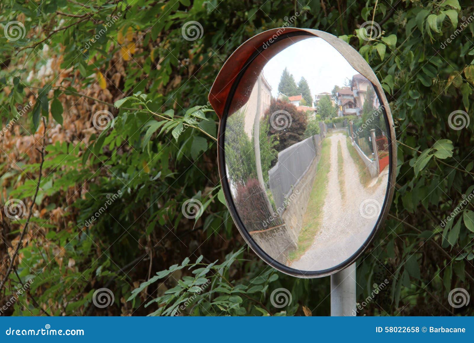 traffic mirror