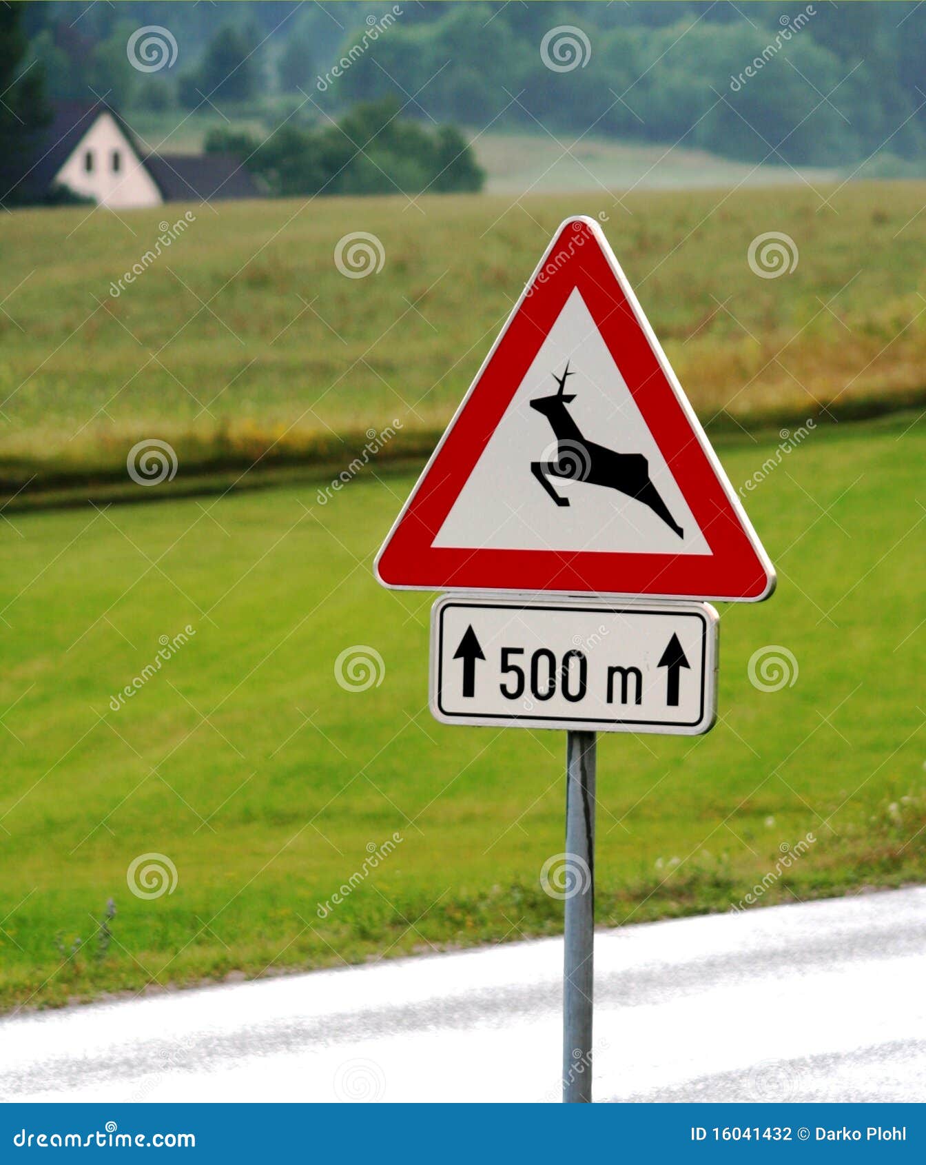 403 Deer Traffic Sign Stock Photos - Free & Royalty-Free Stock Photos from  Dreamstime