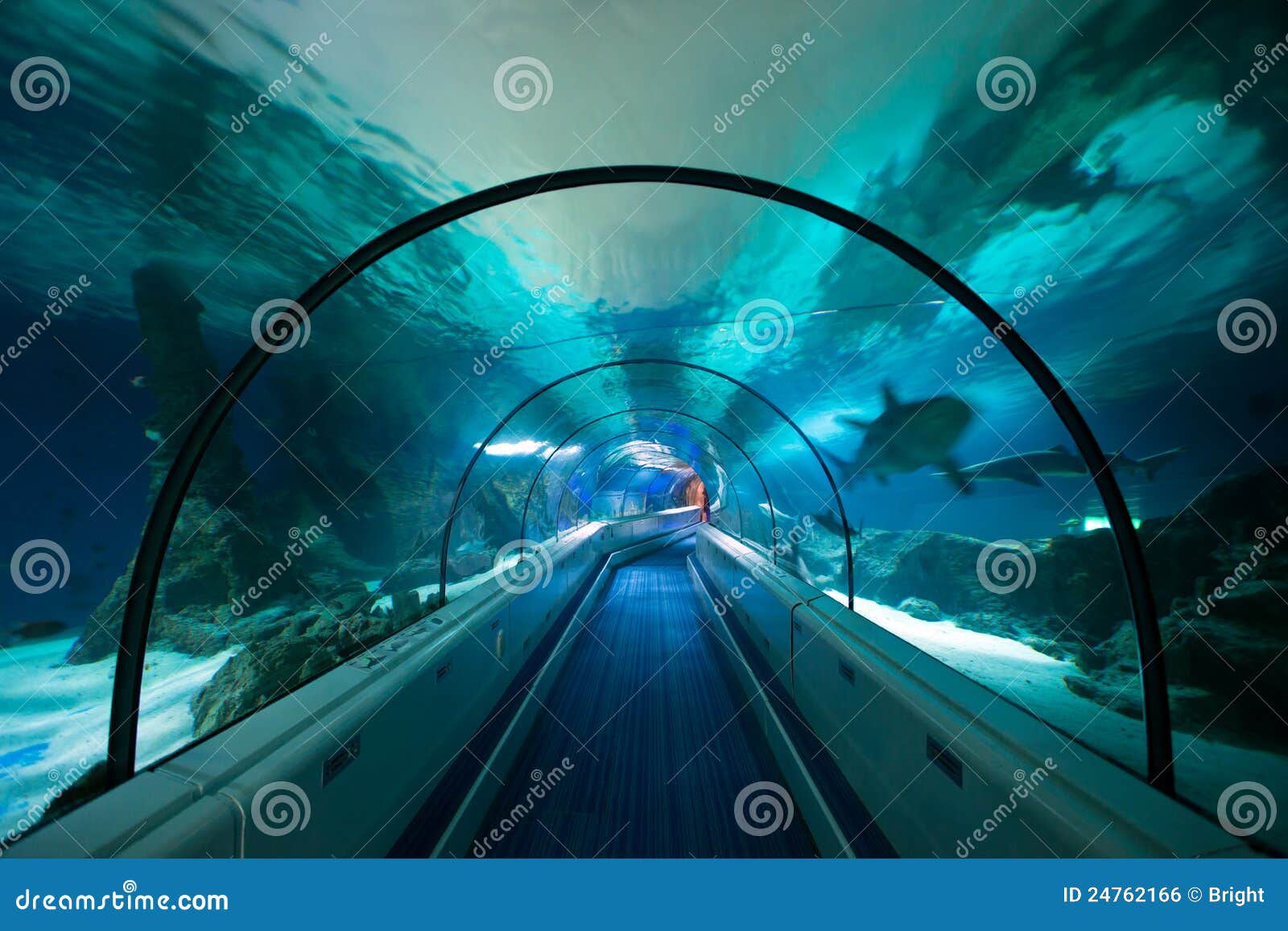 Decorazione Acquario Galleggiante - Simpatico Sommozzatore Con Palla | Accessorio Per Pesci | 2 Pezzi Colorati Per Acquario