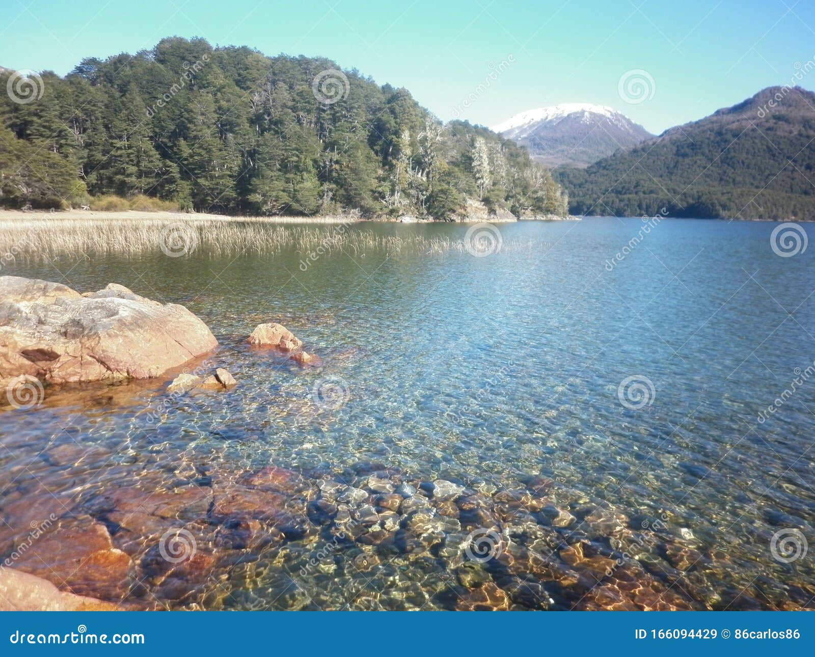 Traful Lake in Patagonia Argentina Stock Image - Image of river, winter ...