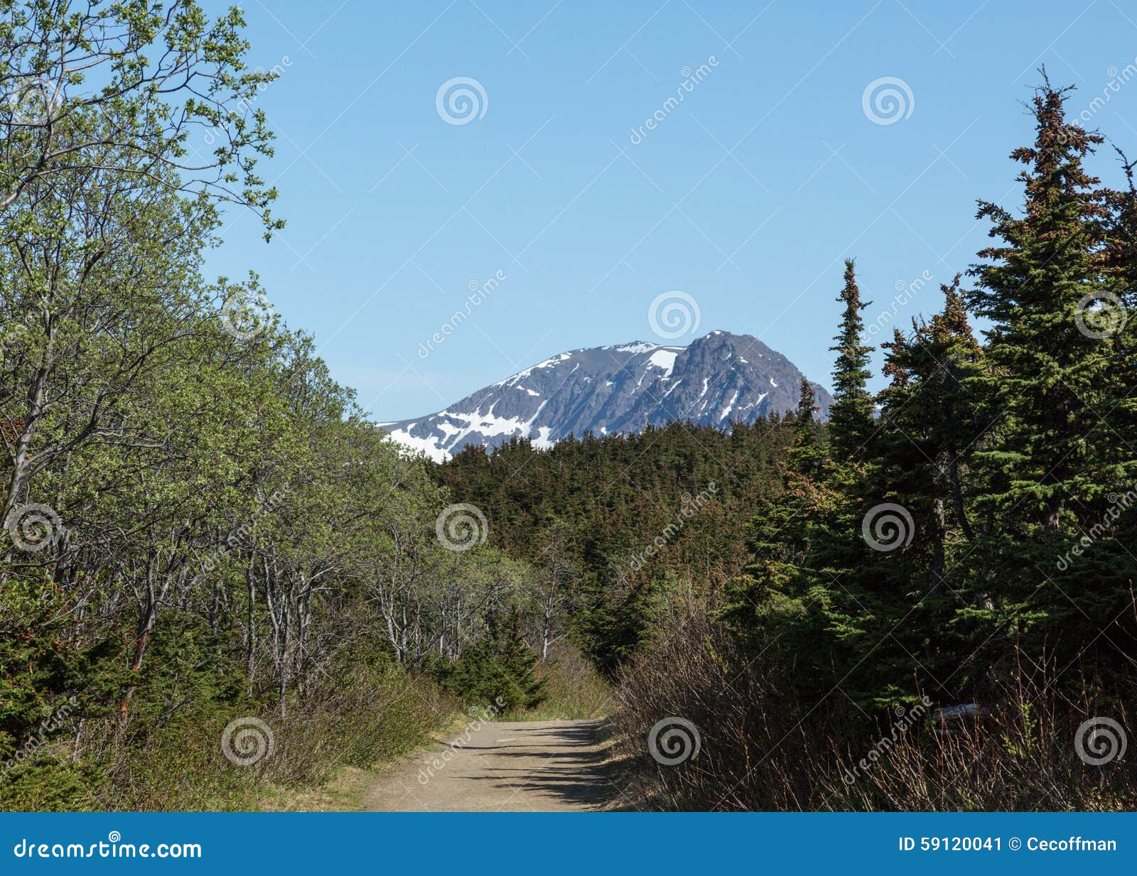 trail through alaska