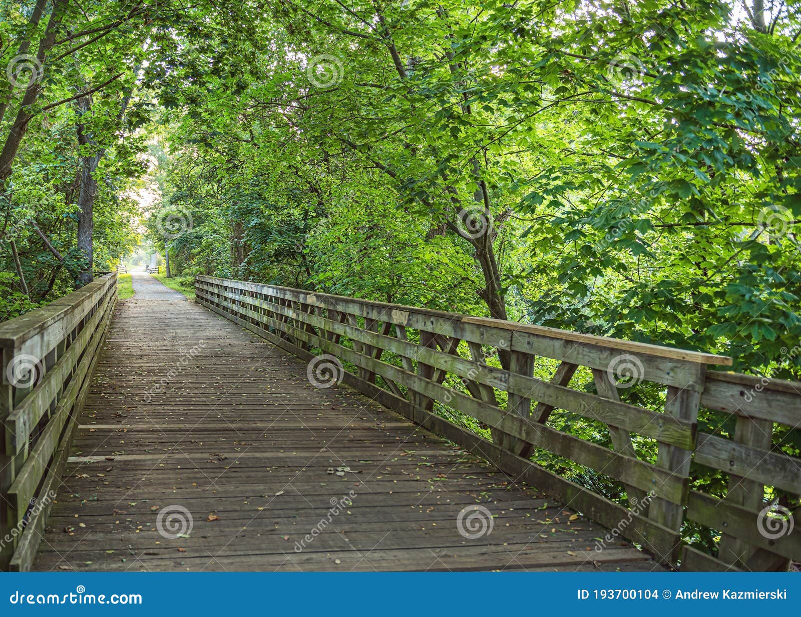 Trail Bridge stock photo. Image of leaves, foliage, bridge - 193700104
