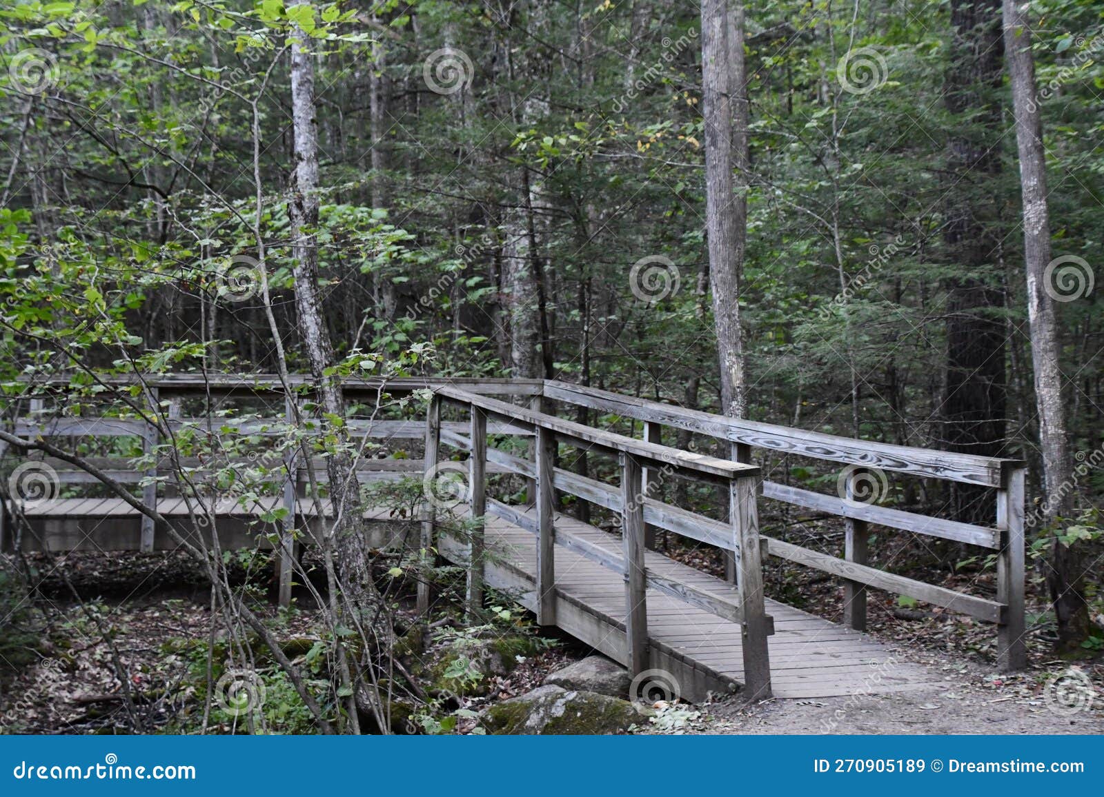 Trail at Dianas Baths in Bartlett, New Hampshire USA Stock Image
