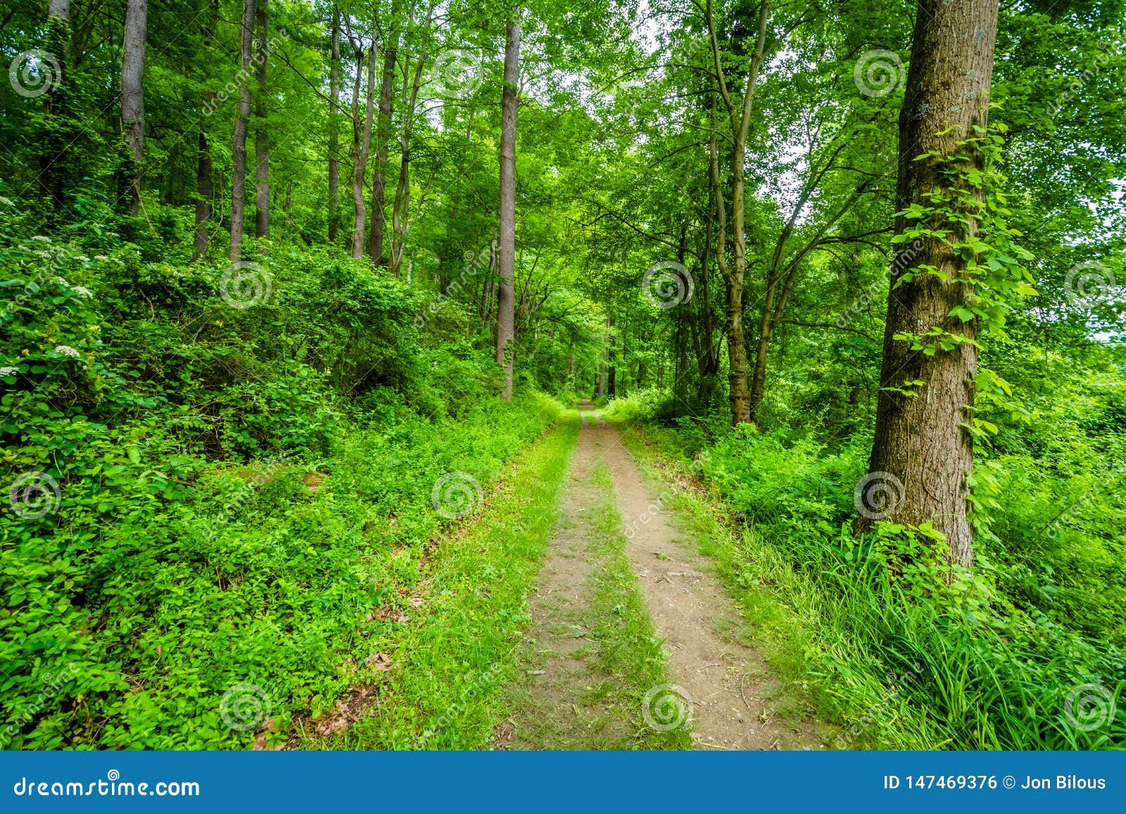 Trail at Lake Williams, in York, Pennsylvania Stock Photo Image of