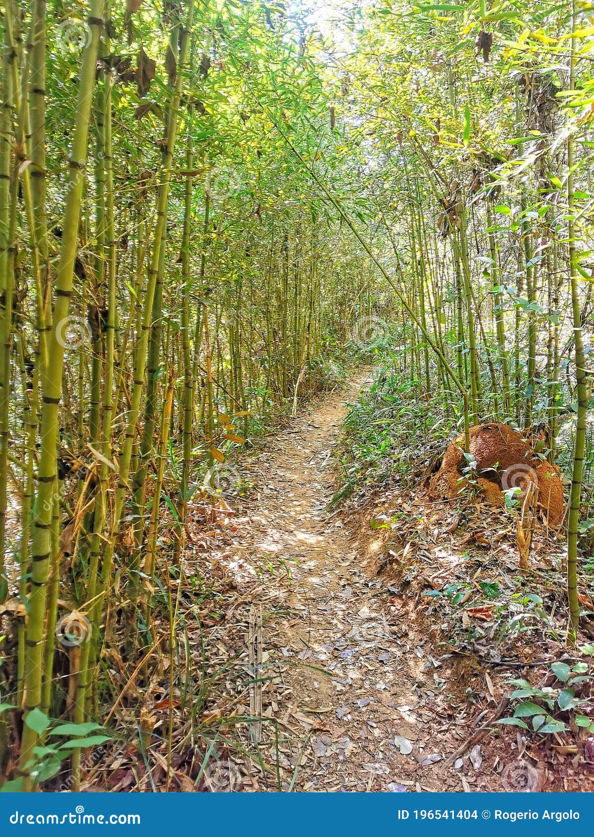 trail 27 laps, honorio bicalho, rio acima, minas gerais, brazil.