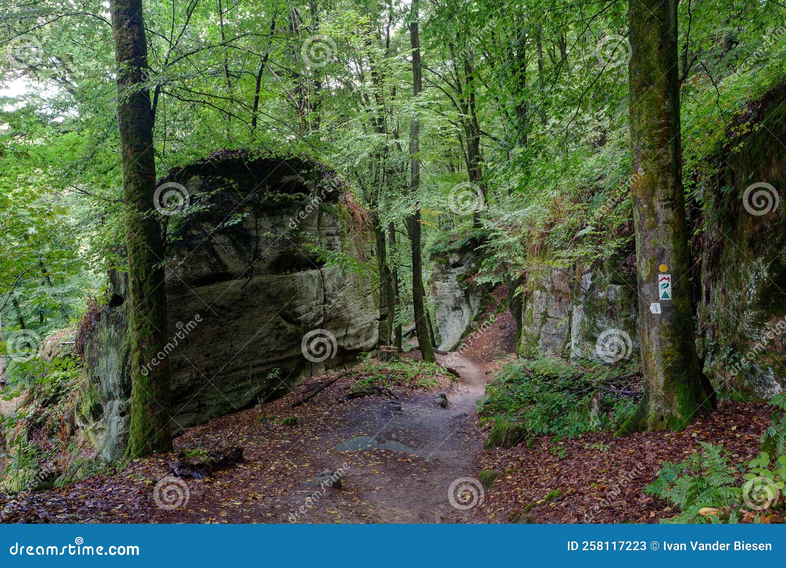 Trail, Rock Formation, Forest, MÃ¼llerthal, Luxembourg Stock Image ...