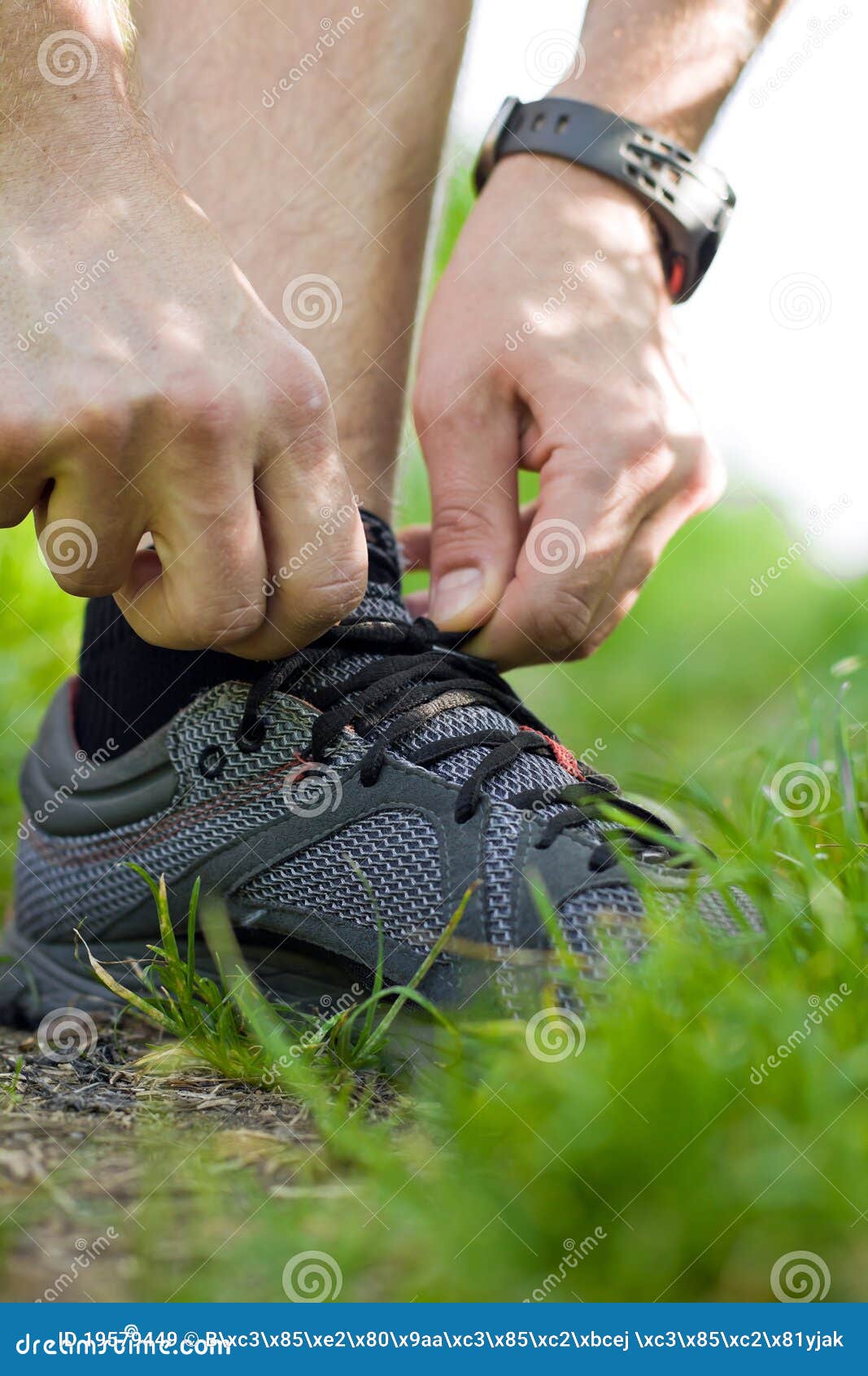 Trail Runner Tying Shoe, Running Concept Stock Image Image of active