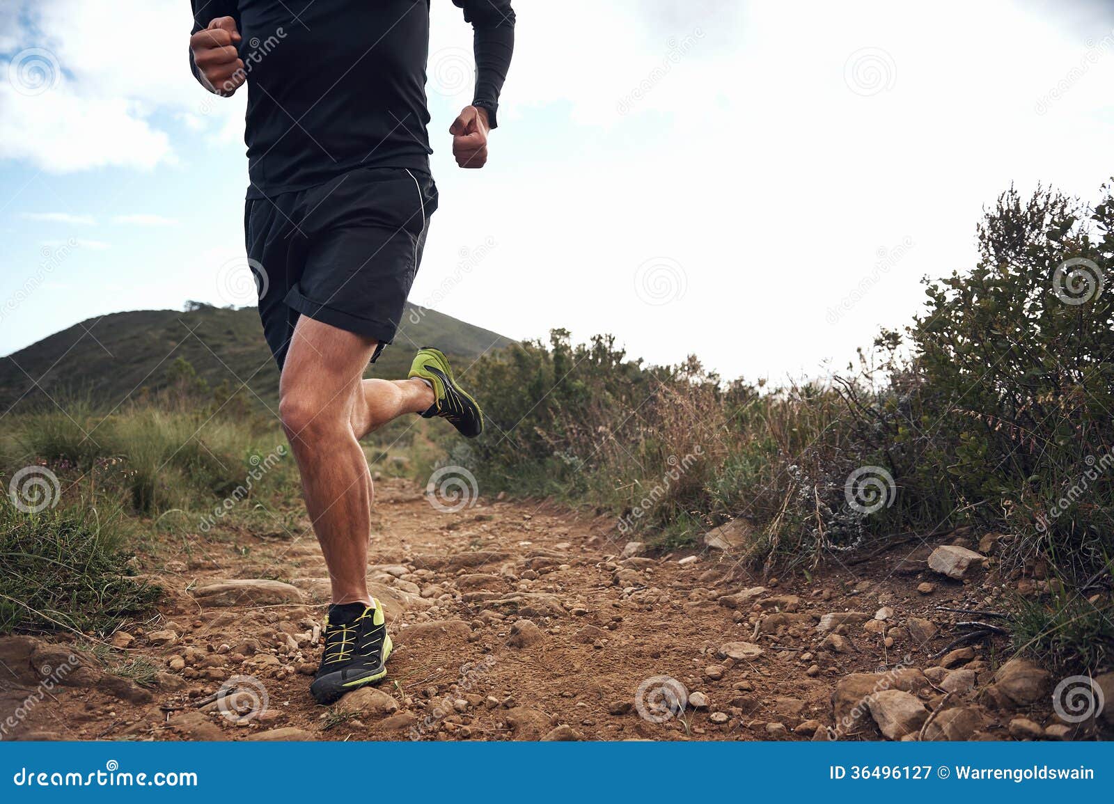 trail running fitness