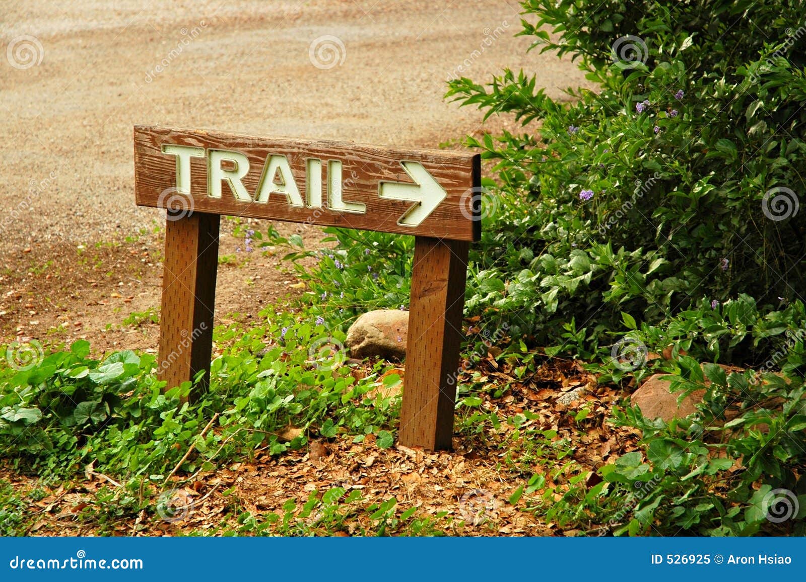 Trail Sign and Arrow at Woods Trailhead Stock Image Image of start