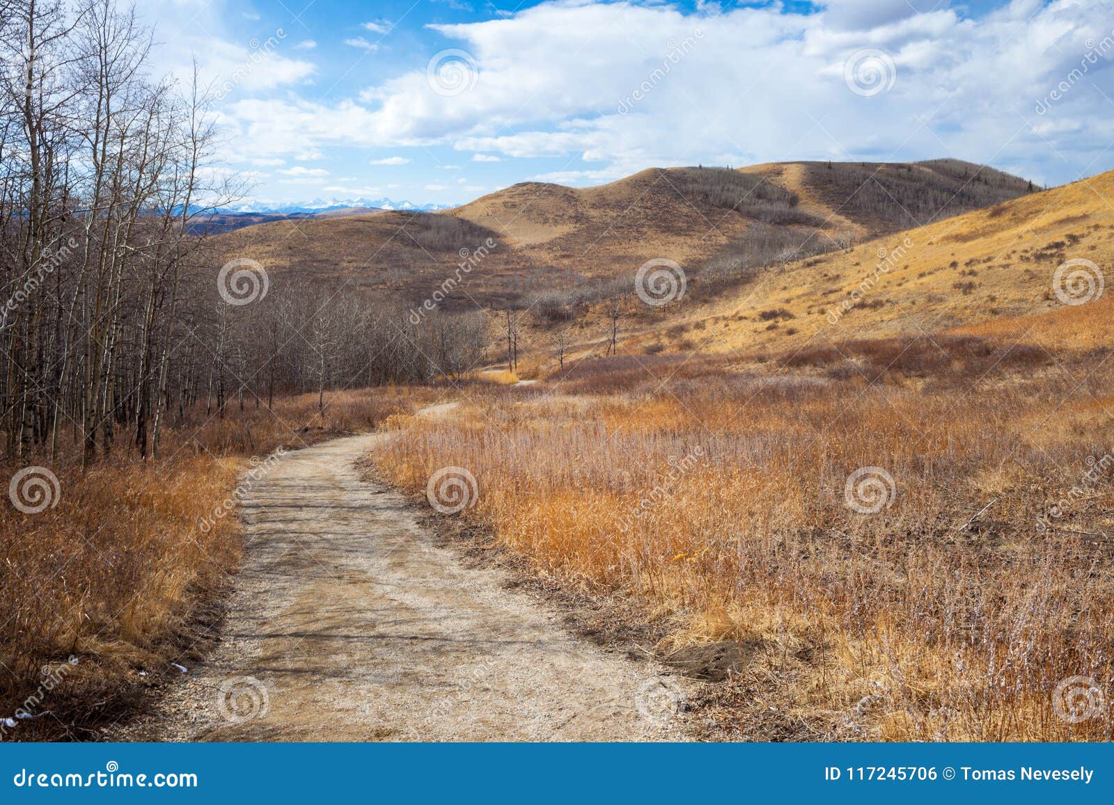 trail though the beautiful glenbow ranch provincial park in alberta