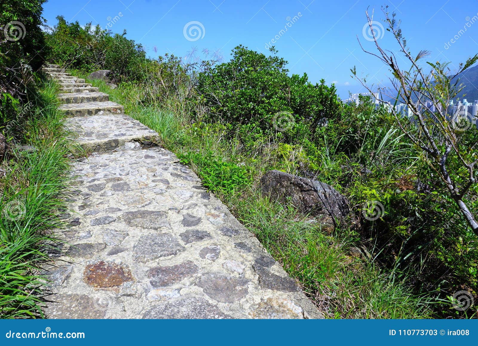 Trail To Big Giant Buddha in Hong Kong Stock Image - Image of monastery