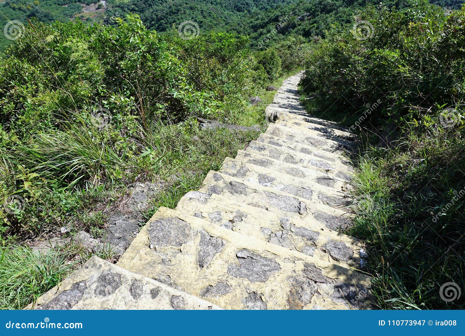 trail to big giant buddha in hong kong