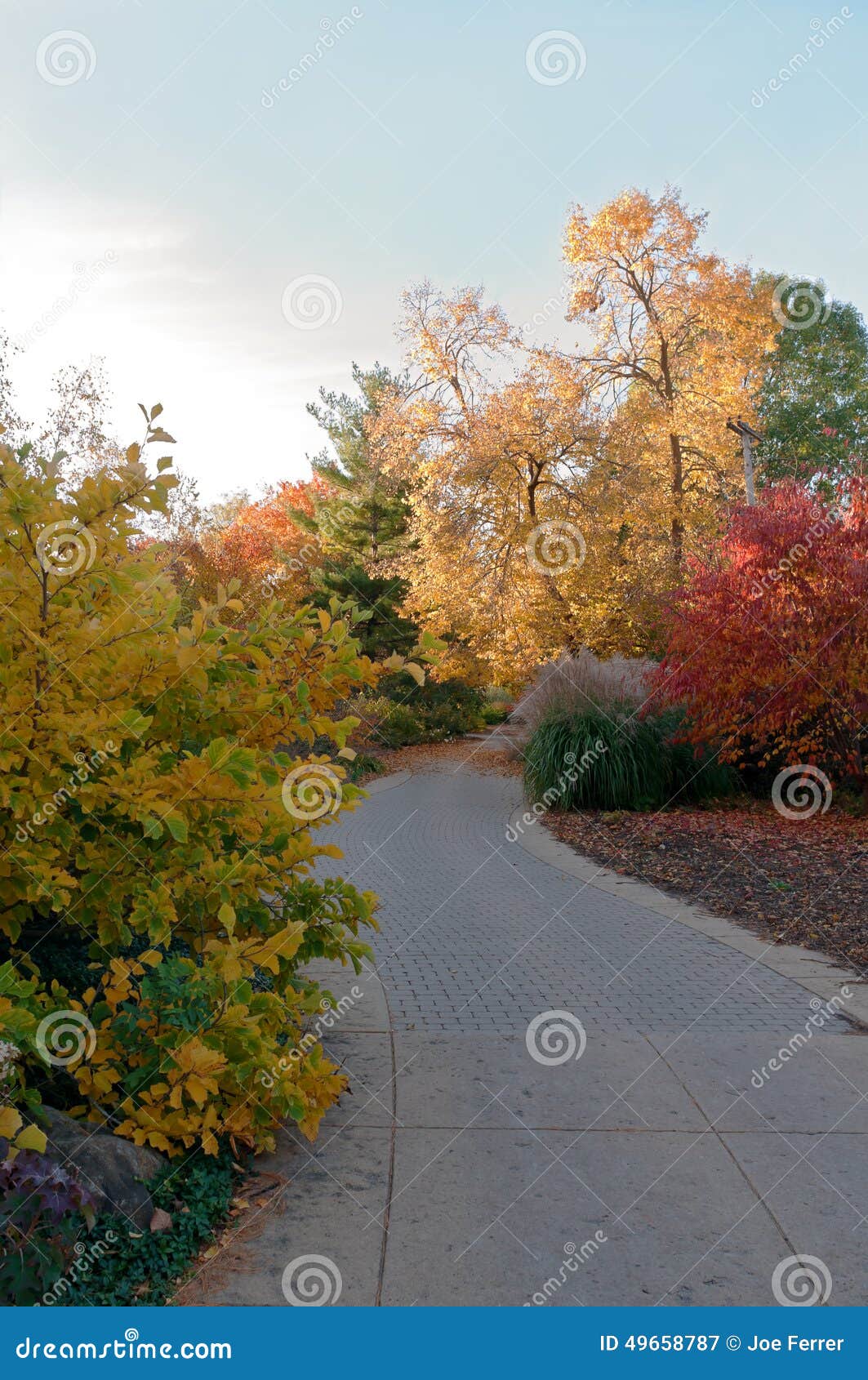 Trail And Trees At Botanical Garden In Madison Stock Image Image