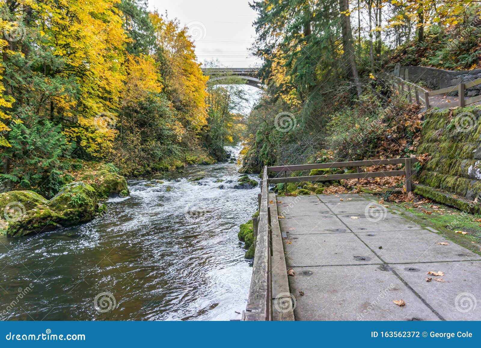 picture Tumwater Falls Park Trail dreamstime com