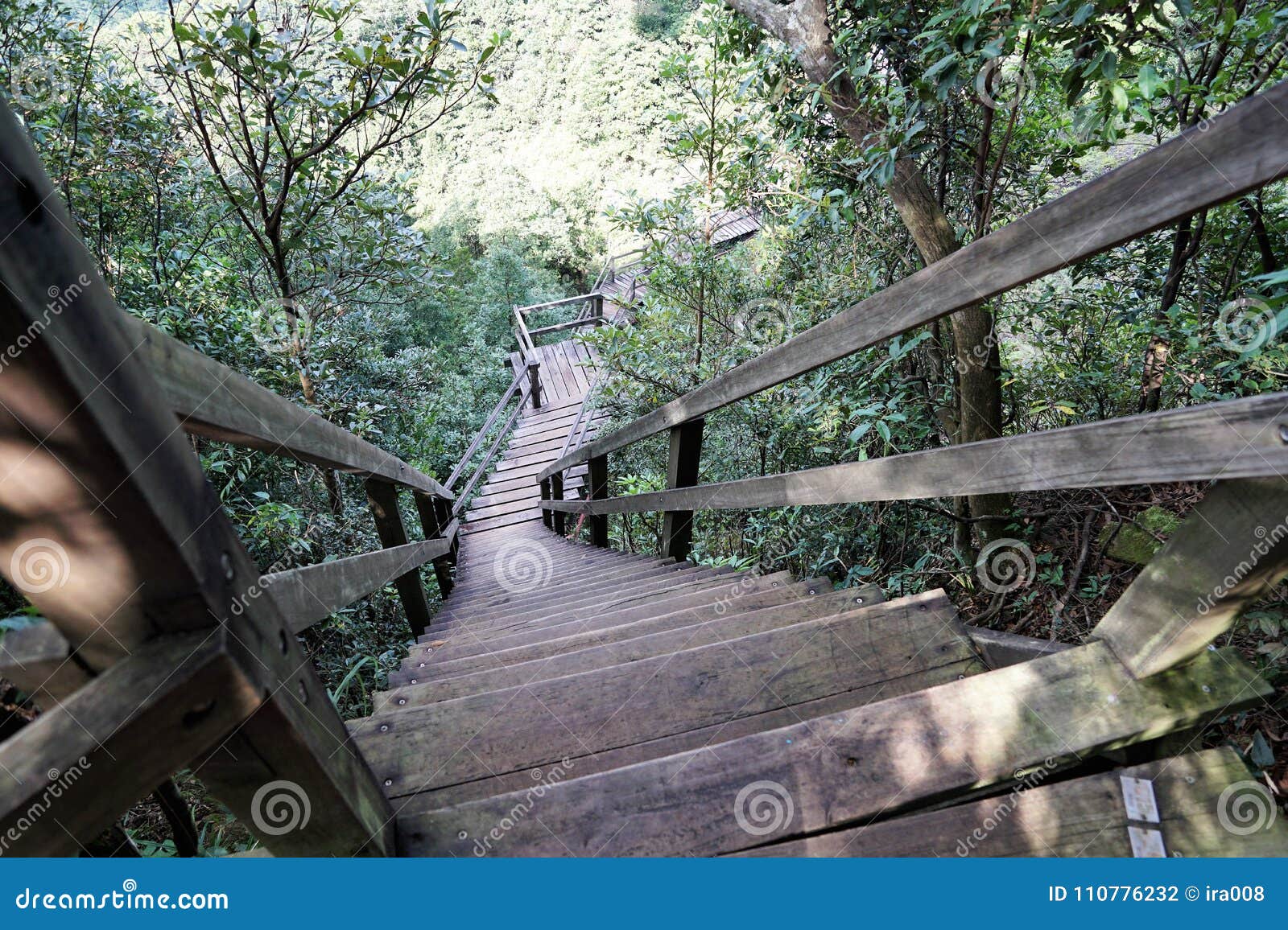 Trail To Big Giant Buddha in Hong Kong Stock Photo - Image of mountain