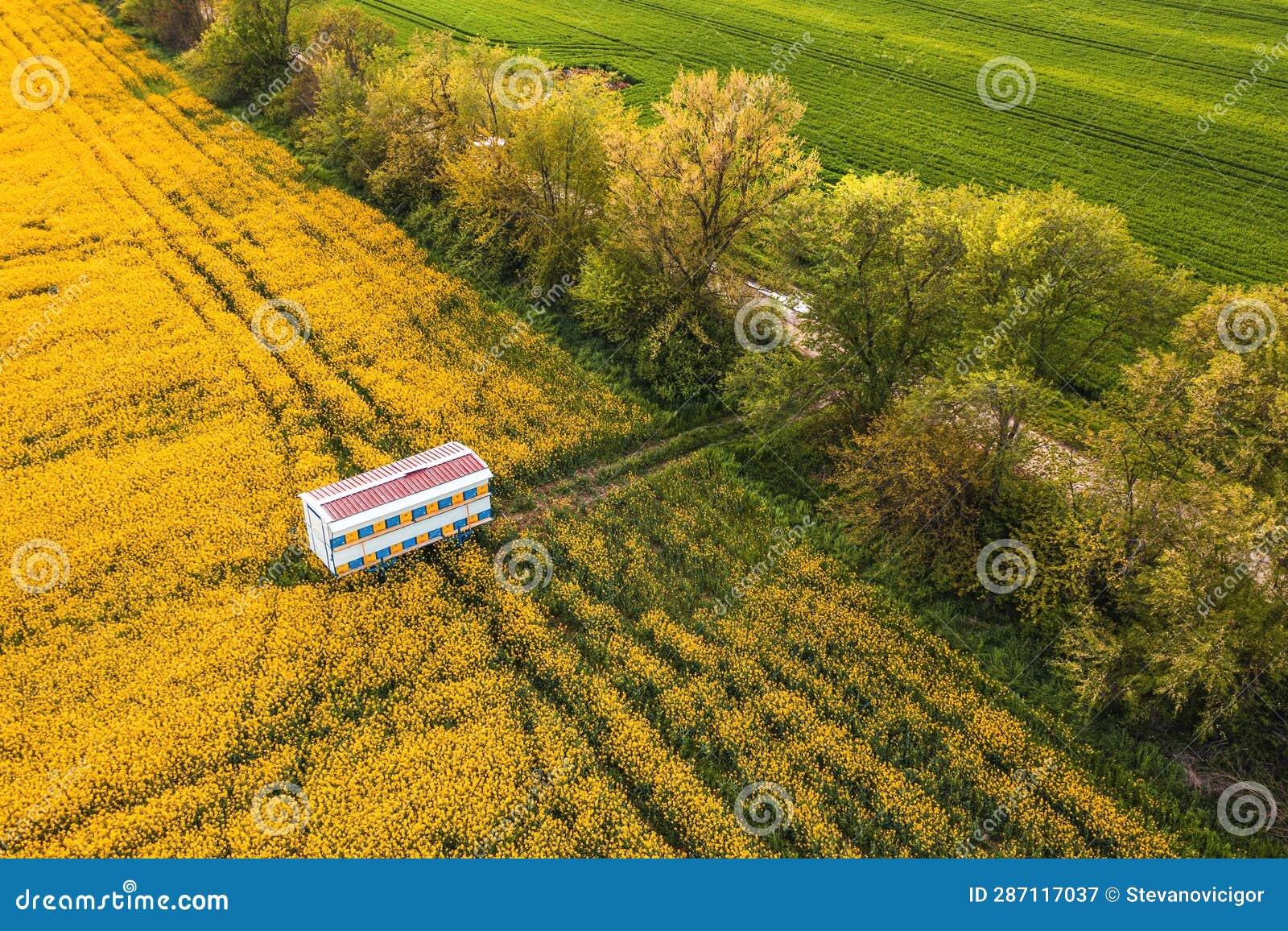 16,945 Fotos de Stock de Vojvodina - Fotos de Stock Gratuitas e Sem  Fidelização a partir da Dreamstime - Página 5