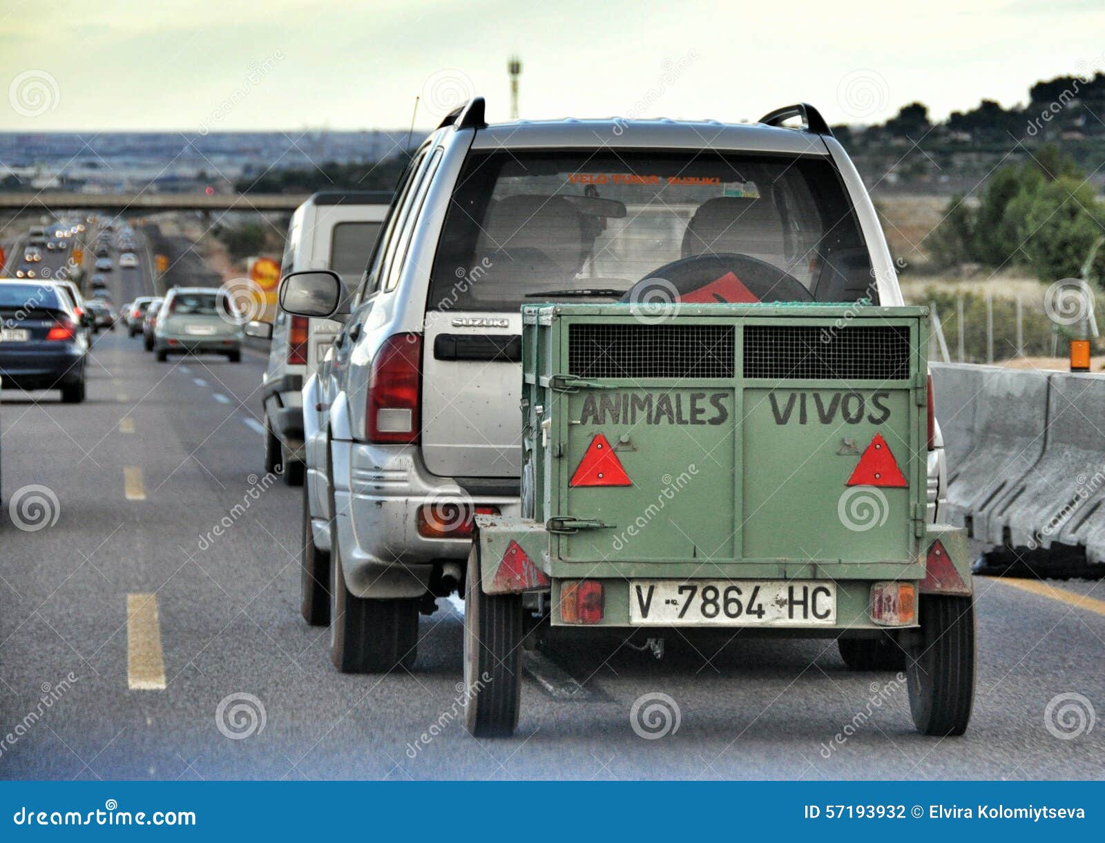 Trailer for Transporting Animals Editorial Photography Image of