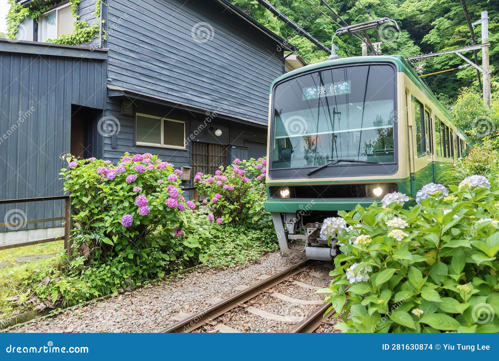Train in Kamakura, Japan editorial stock image. Image of rail 281630874