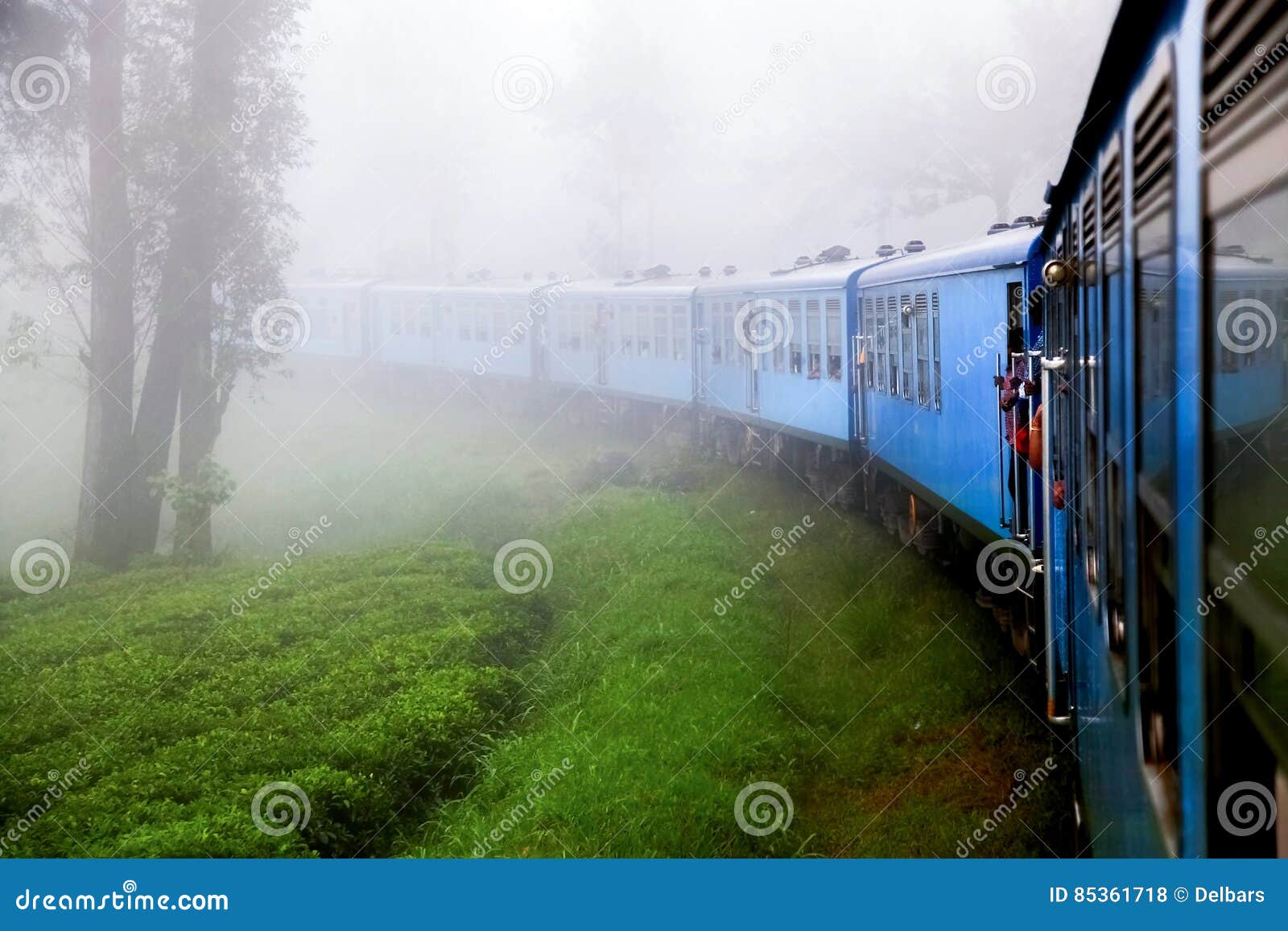the train in the fog in the mountains of sri lanka. surroundings nuwara eliya.