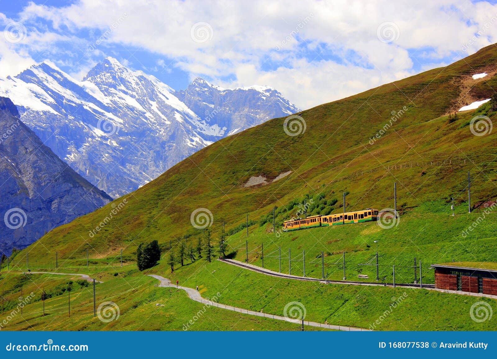 A Train Going Uphill in Swiss Alps Stock Photo Image of colored