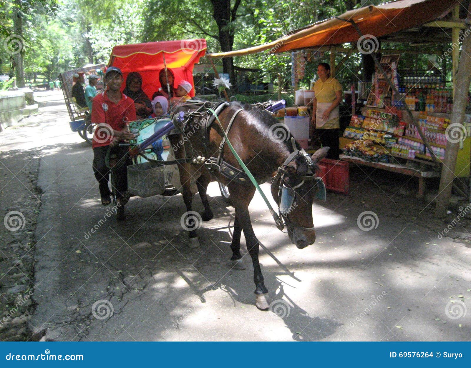 Train horses editorial stock image. Image of rickshaw 69576264