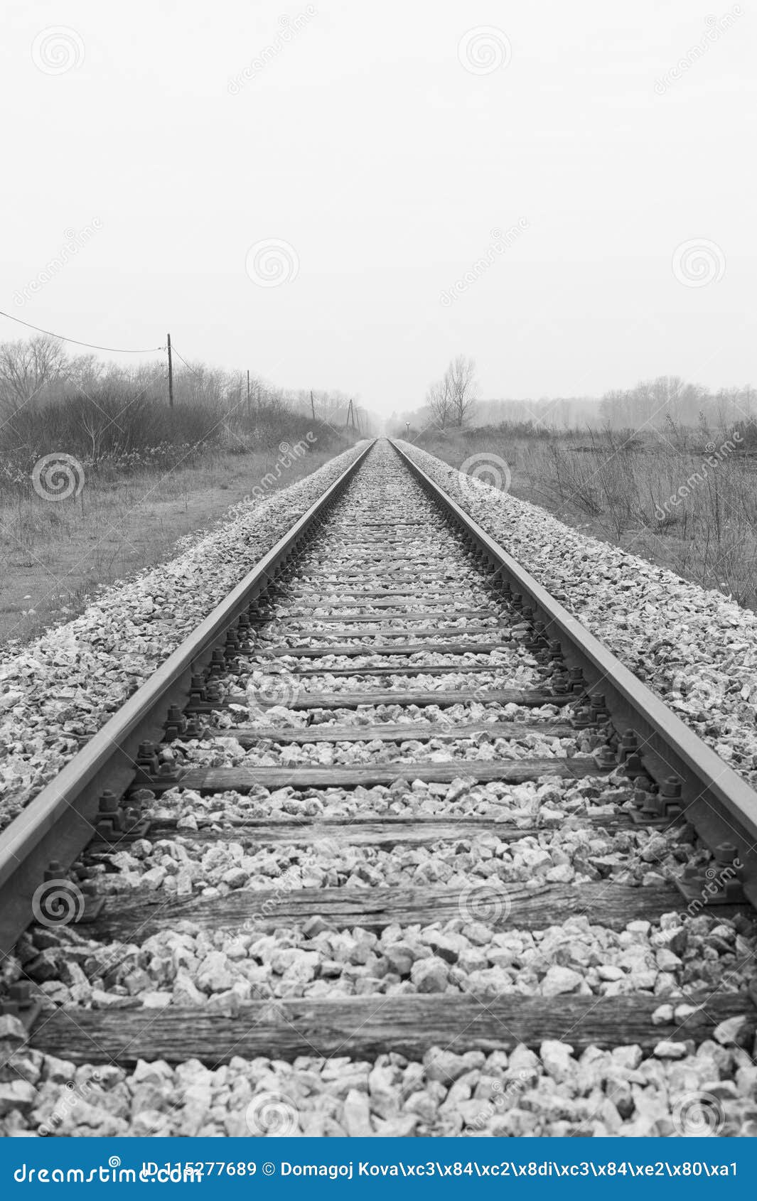 Train Rails, Black and White Image of Railway. Vertical Image of Railroad Stock Image Image of