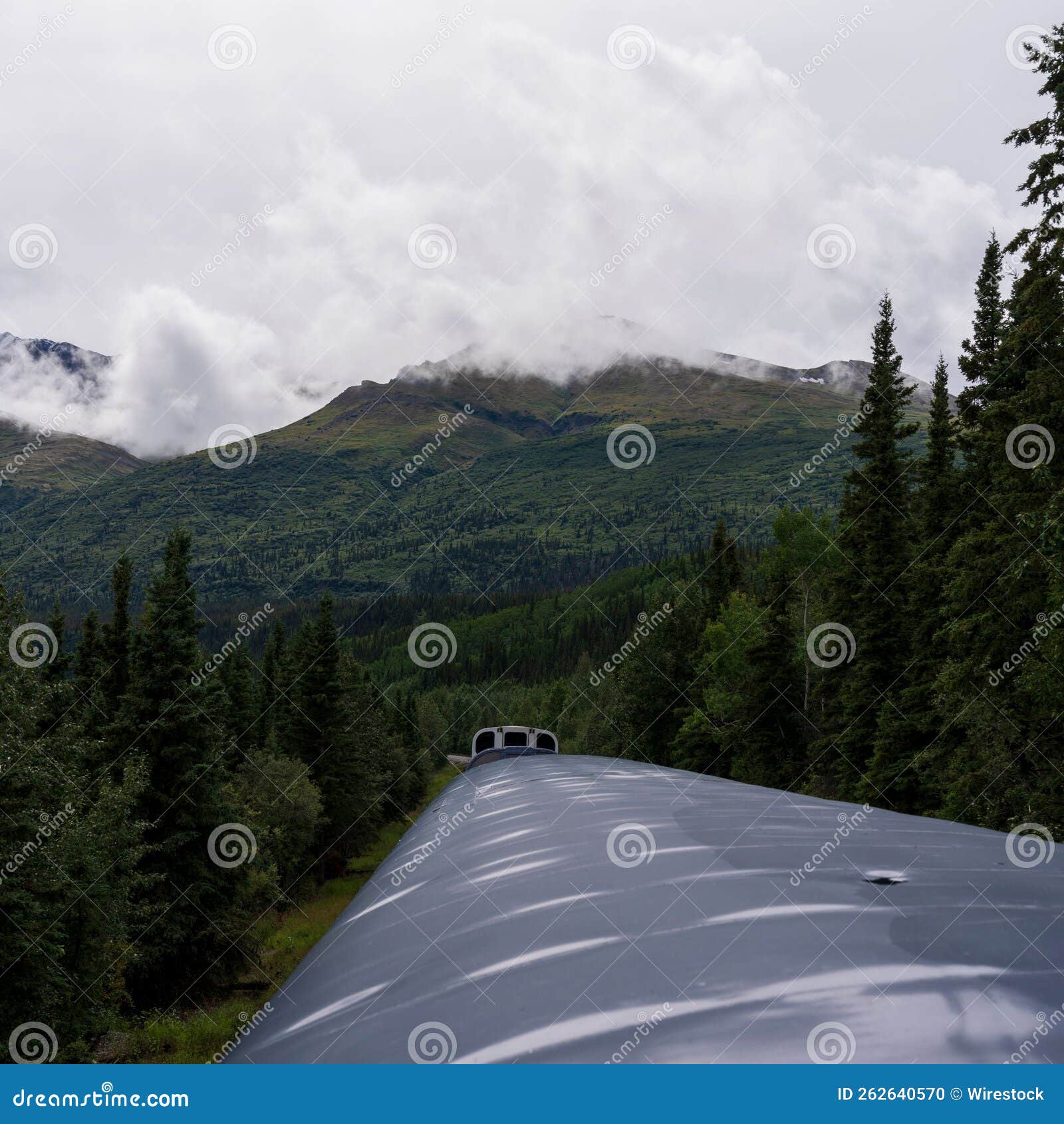 train running along the alaska range in the southcentral region of alaska, usa under a cloudy sky