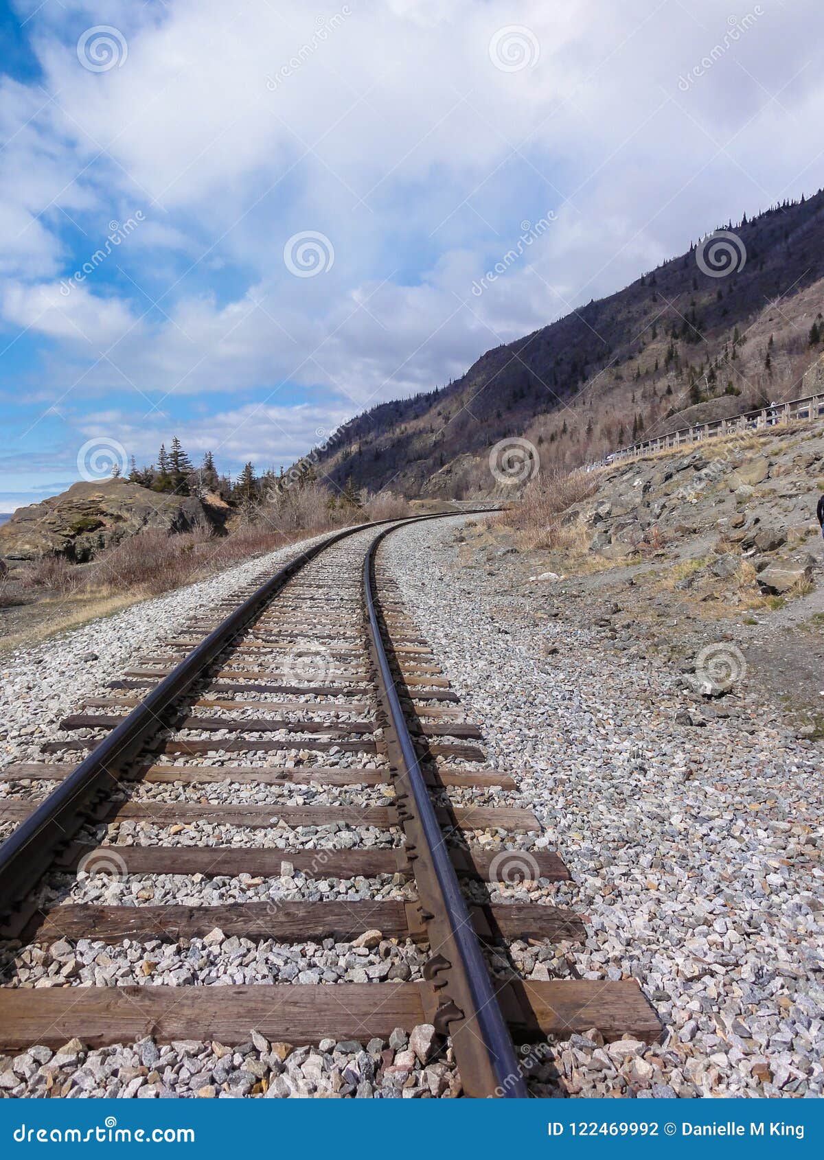 train tracks along seward highway