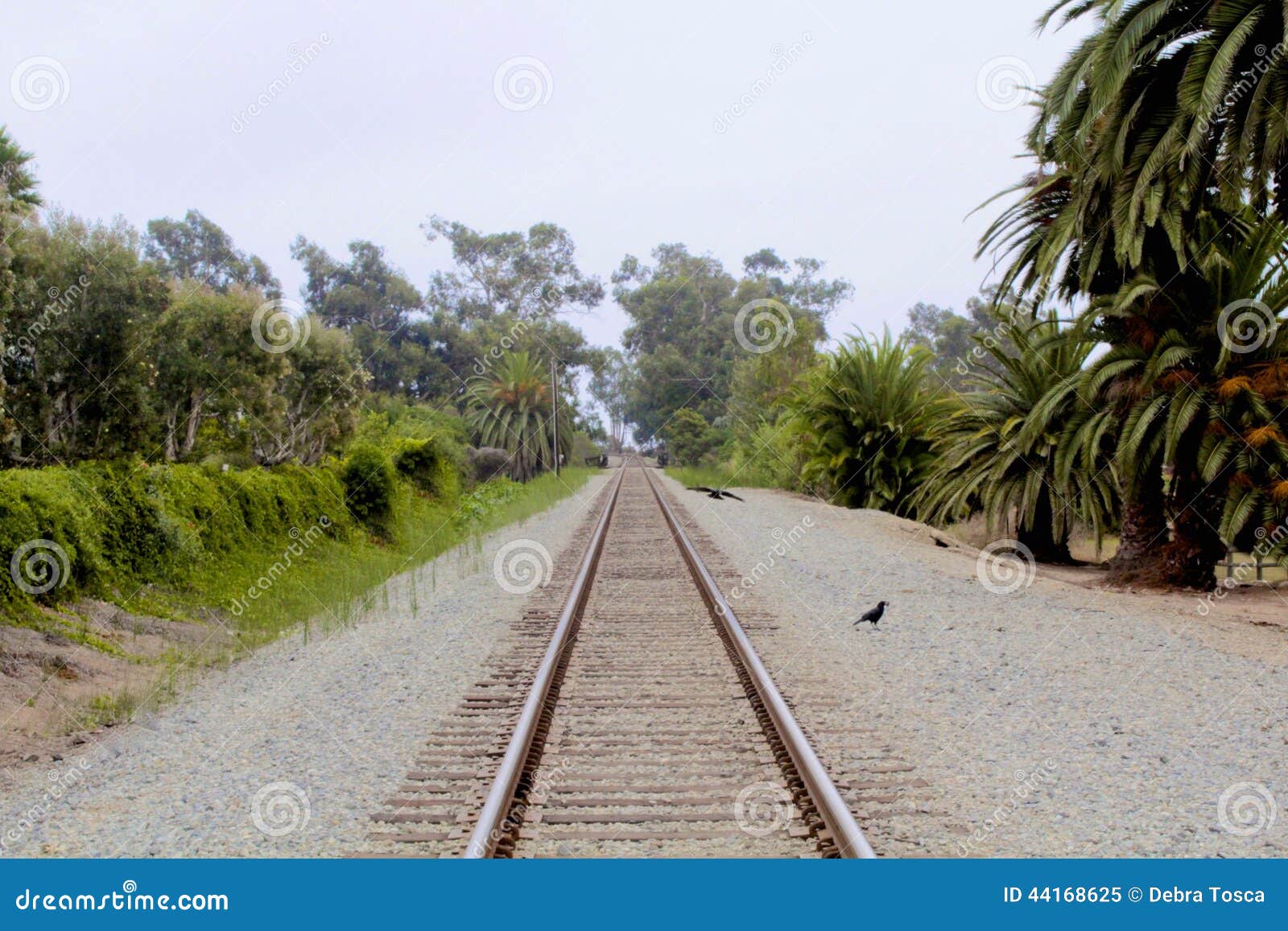 train tracks carpinteria california
