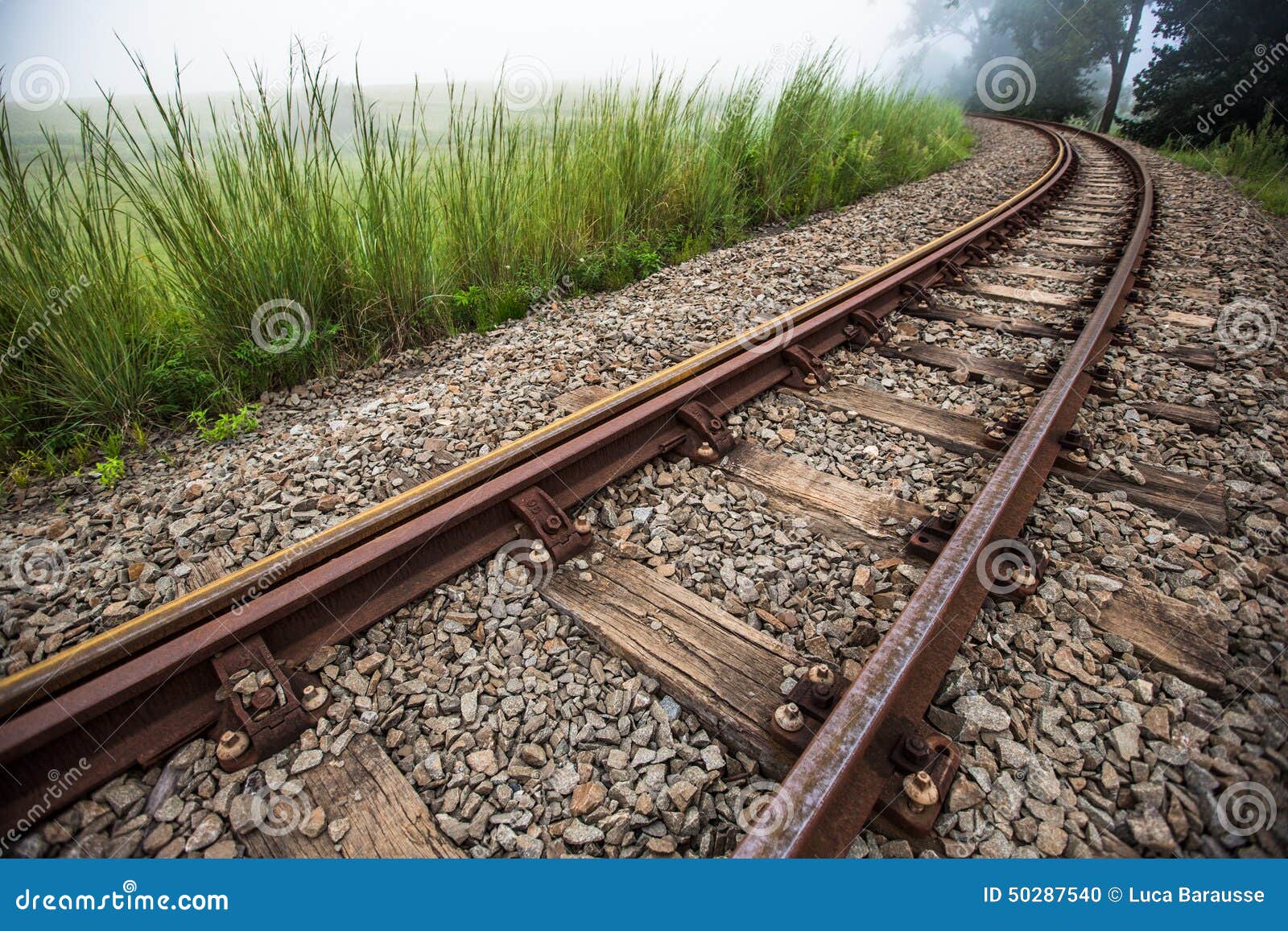 Train Tracks Curves To the Left Stock Photo Image of corn, mist 50287540