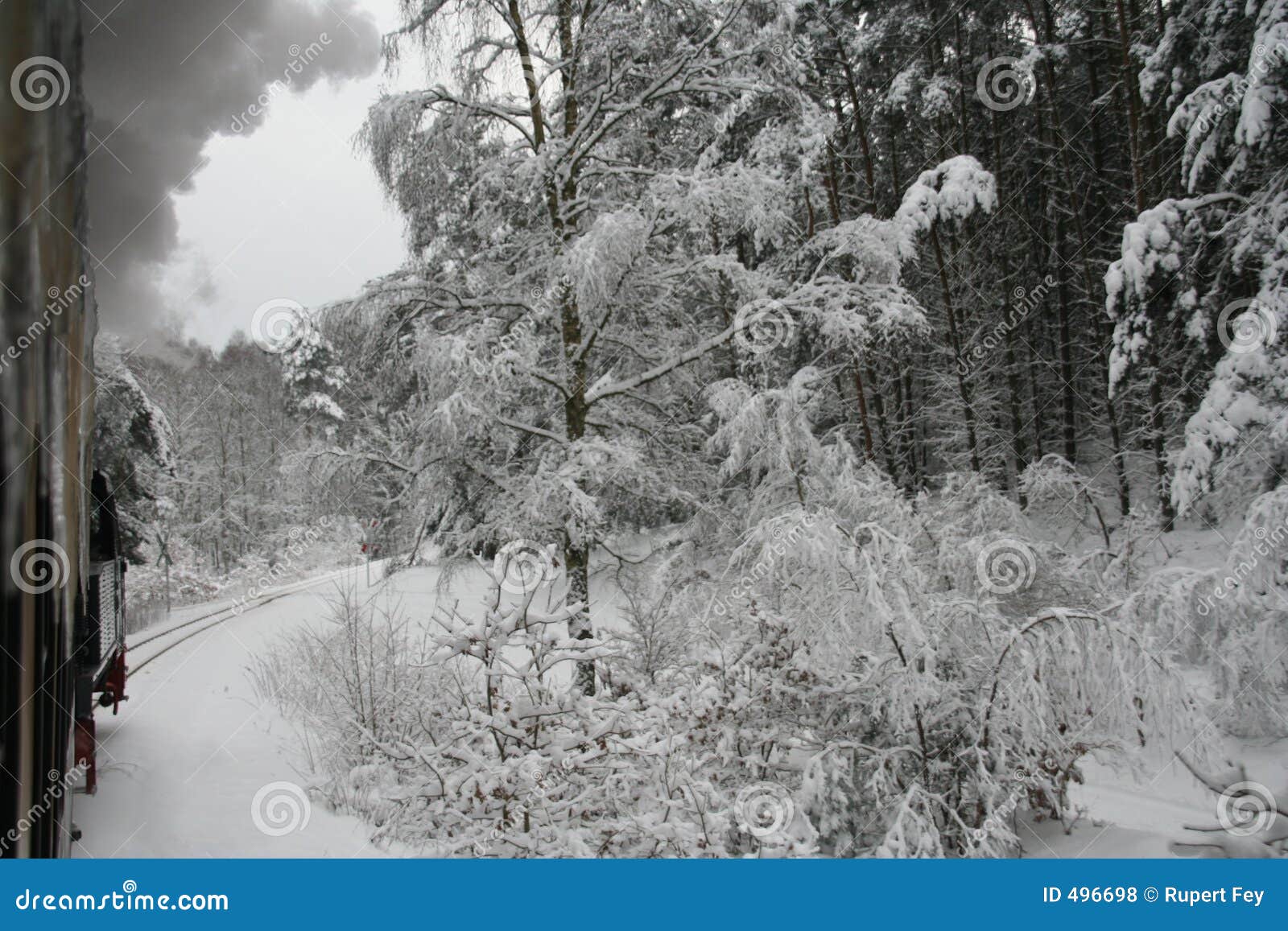 train in winterlandscape