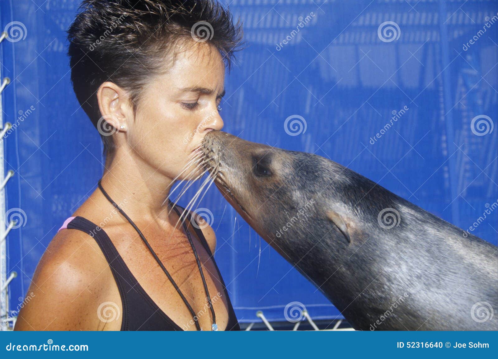 dog trainer los angeles dog trainer los angeles