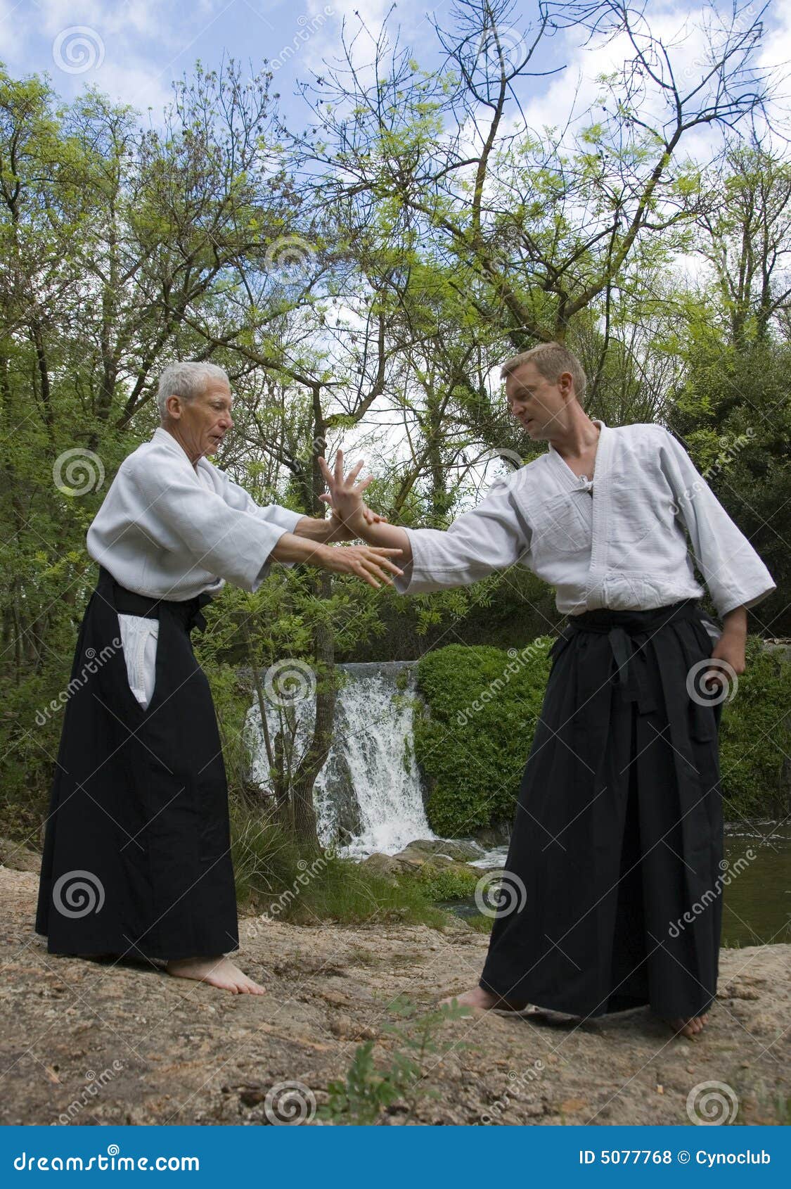 Intakt kantsten Hvor fint Training of Aikido stock photo. Image of sport, nature - 5077768