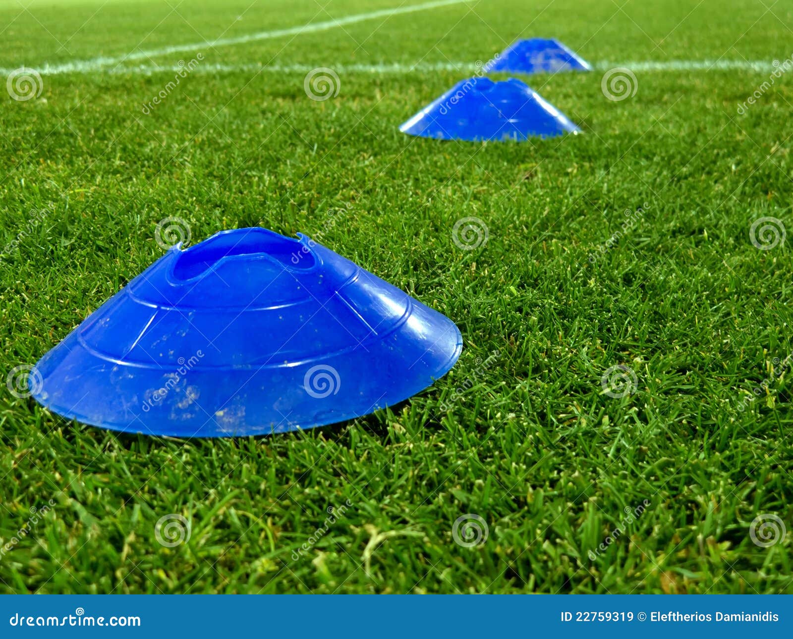 Training Blue Cones Over a Grass Stock Image Image of angle, grass