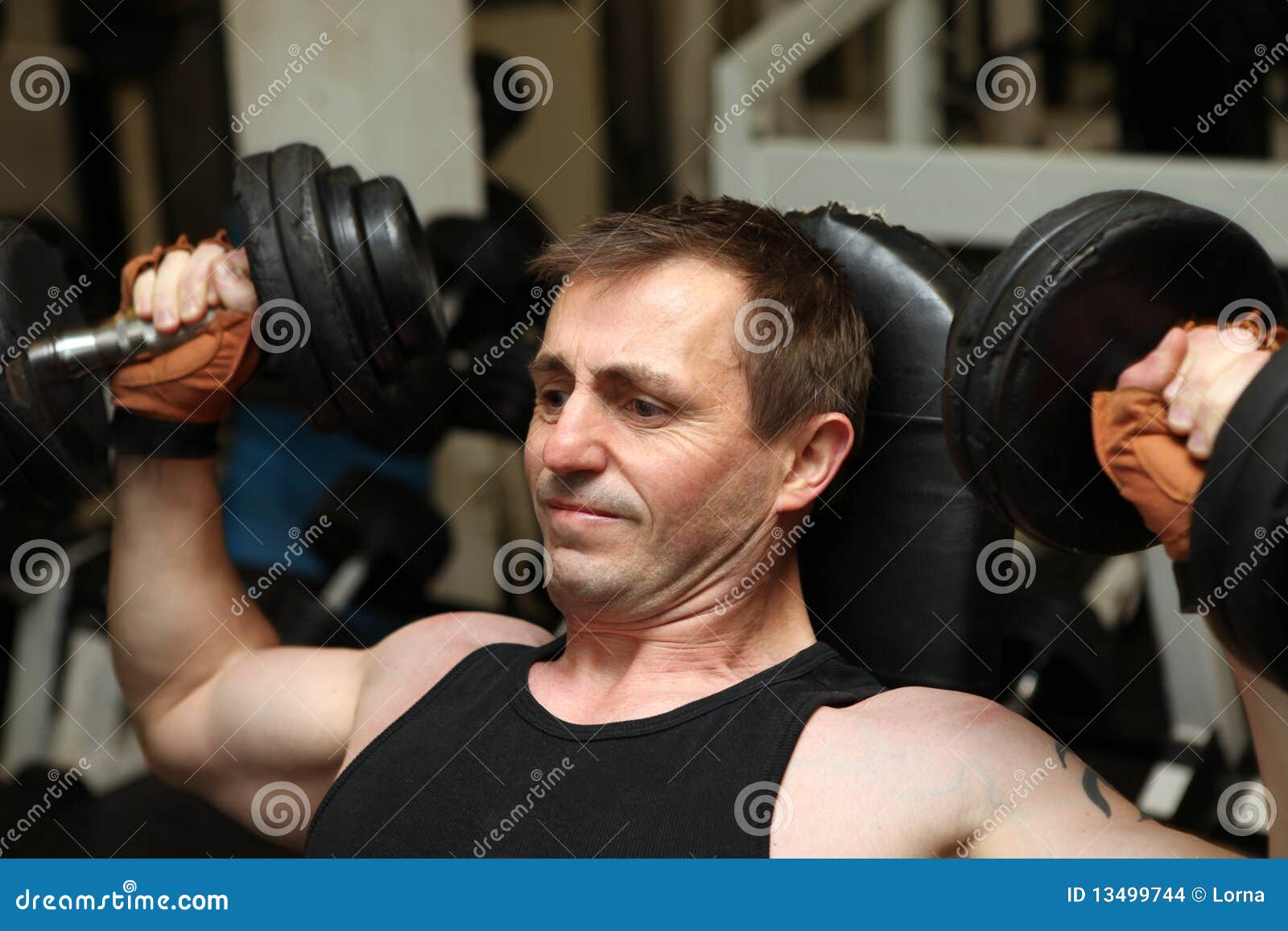 Training Dumbbells Gym Pecks Stock Photo - Image of health, builder ...