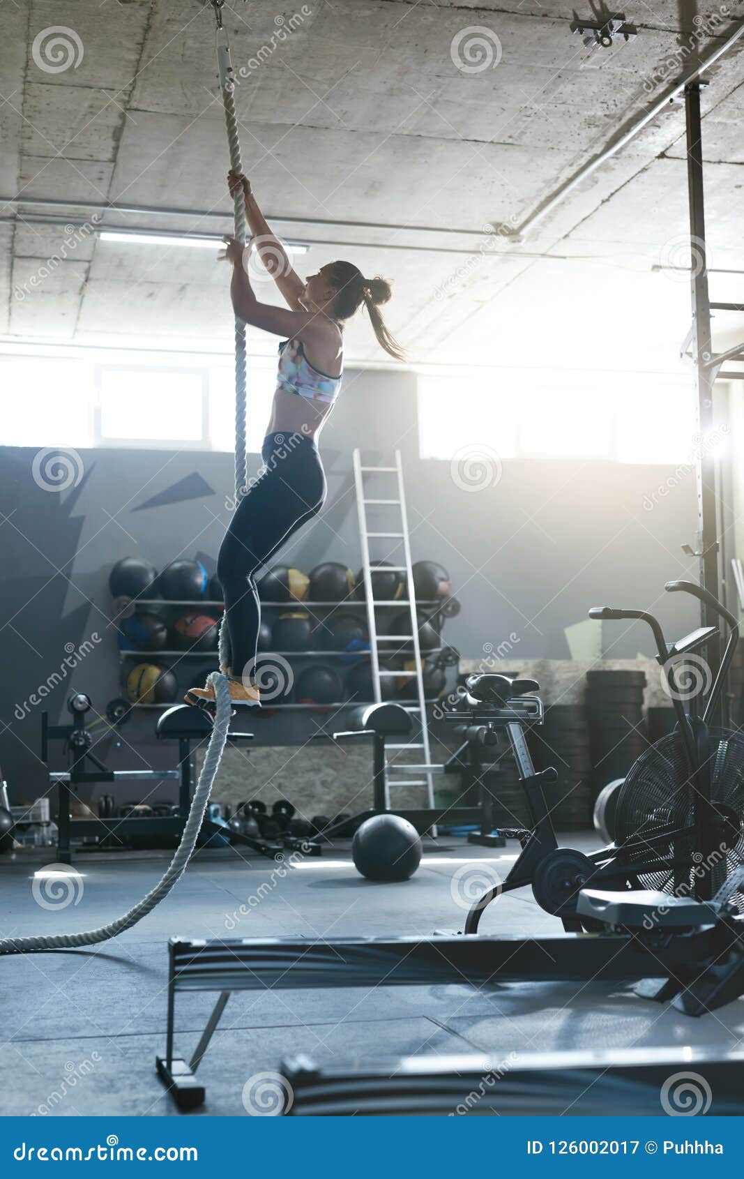 Training at Gym. Female Crossfit Athlete Climbing Rope Stock Image Image of health climbing 126002017