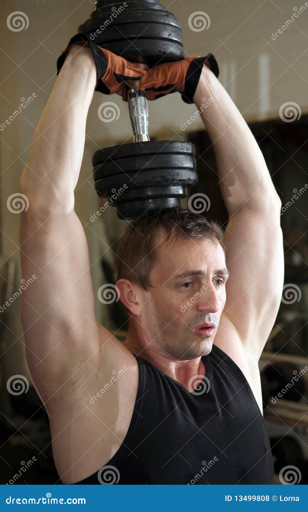 Training Triceps Weights Dumbbell Stock Photo Image of adult, leisure