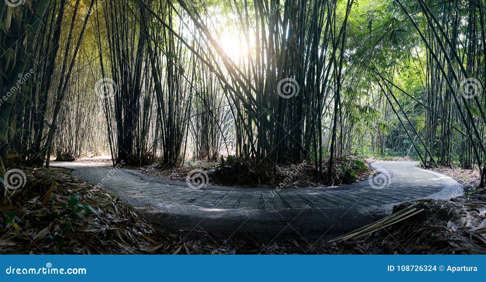 Trajeto Na Floresta De Bambu Na Vila Bali De Penglipuran Foto de Stock