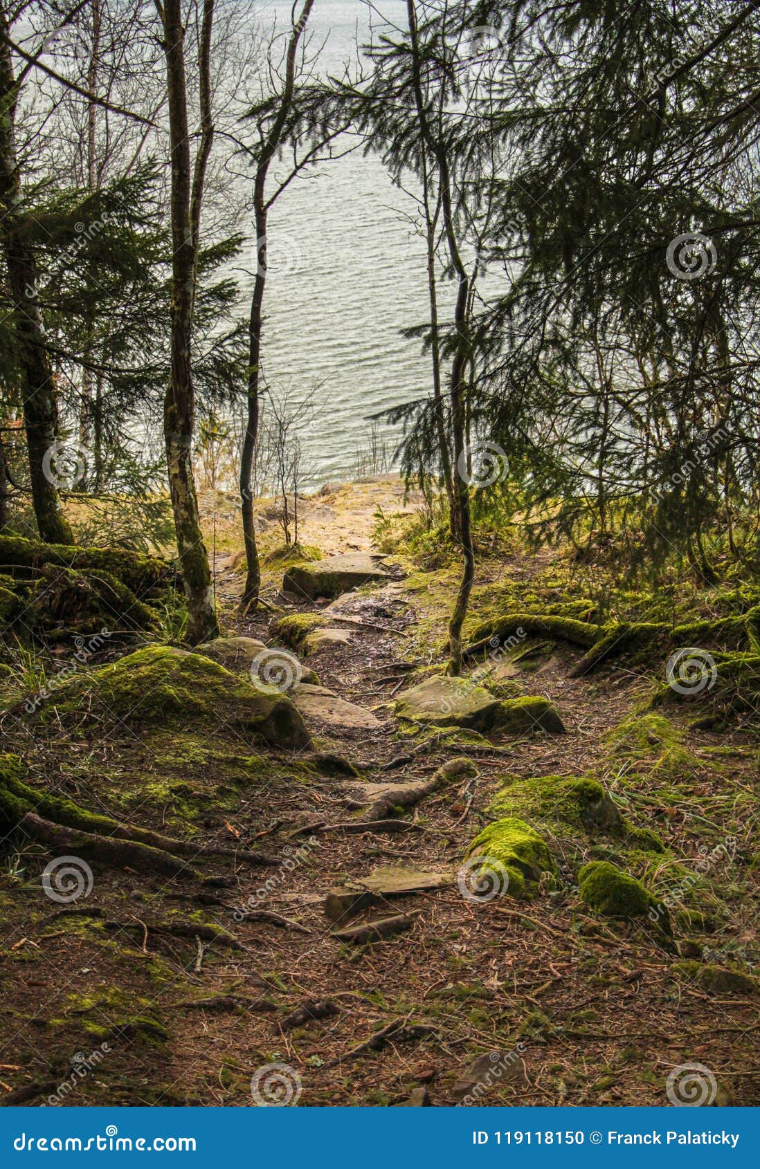 Trajeto rochoso ao lago. Trajeto rochoso na floresta que dá o acesso ao lago