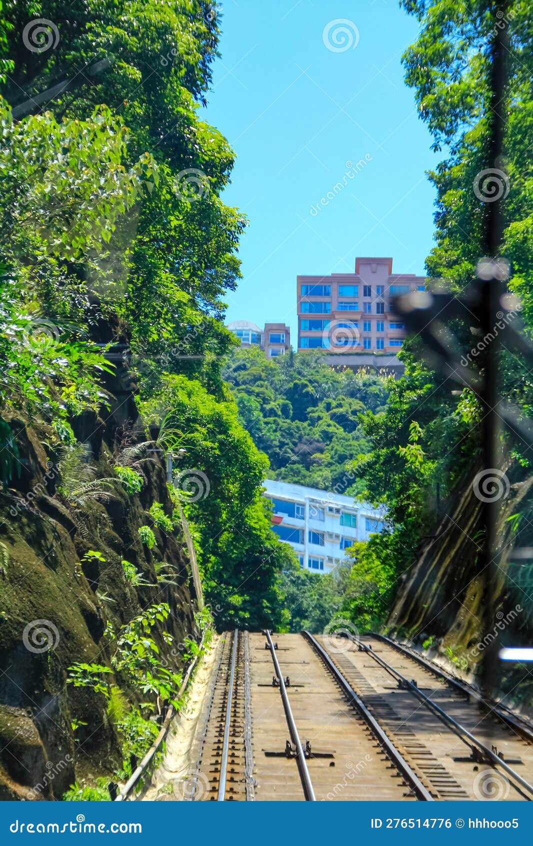 The Tram Road with Green Trees in the Sides Under the Blue Sky. Stock Photo Image of nature