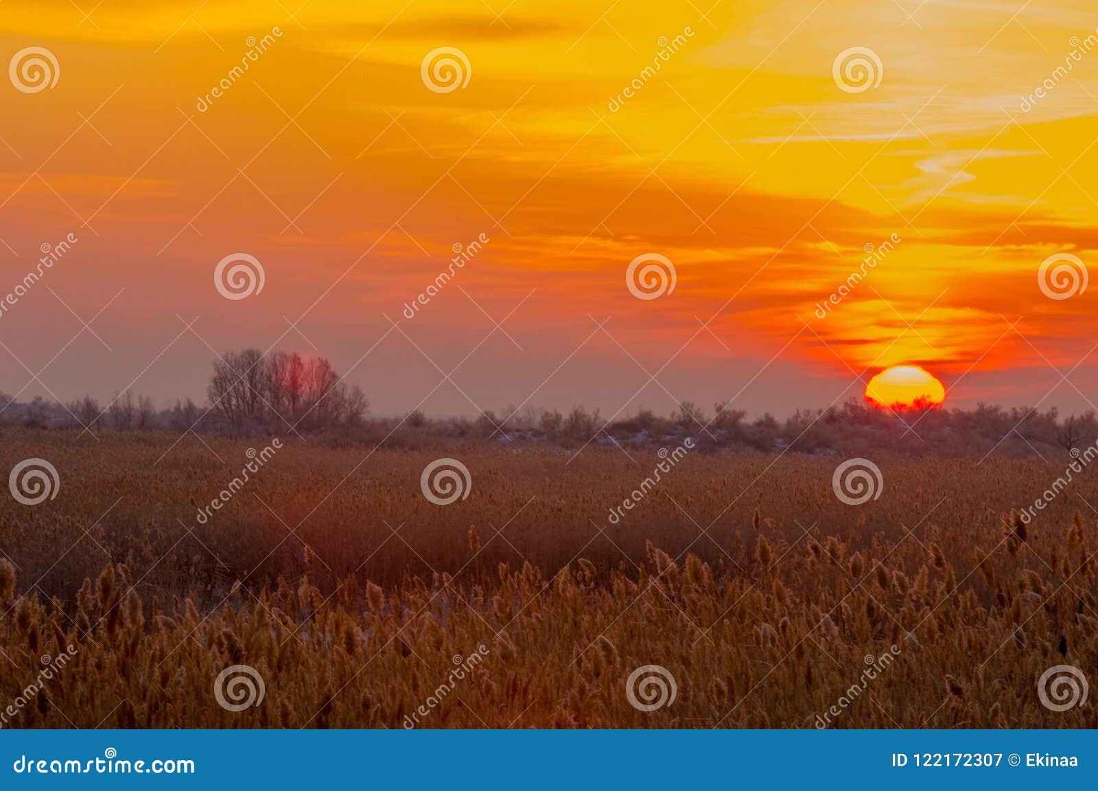Tramonti Di Albe Immagine Stock Immagine Di Nube Nave