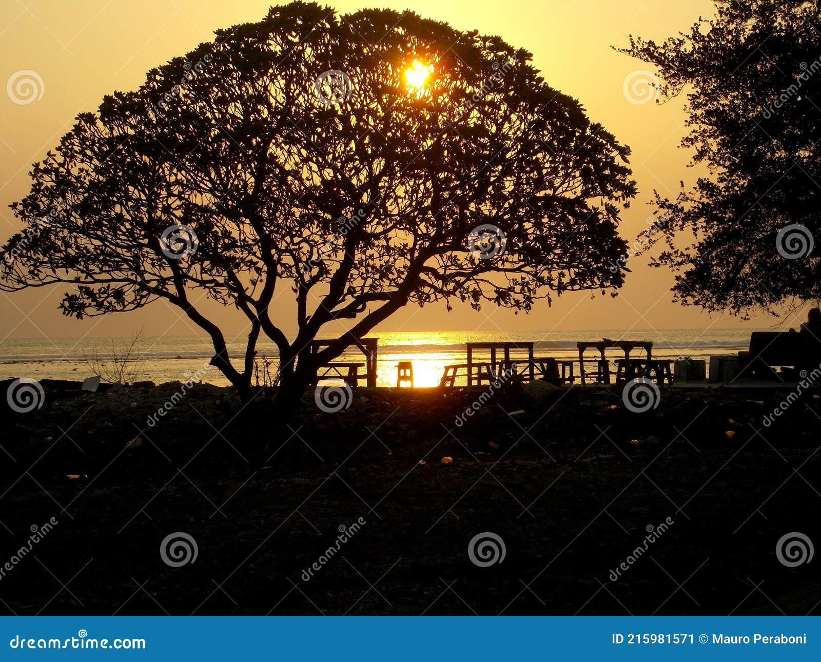 Tramonto Con Alberi in Controluce Stock Image - Image of filippine ...