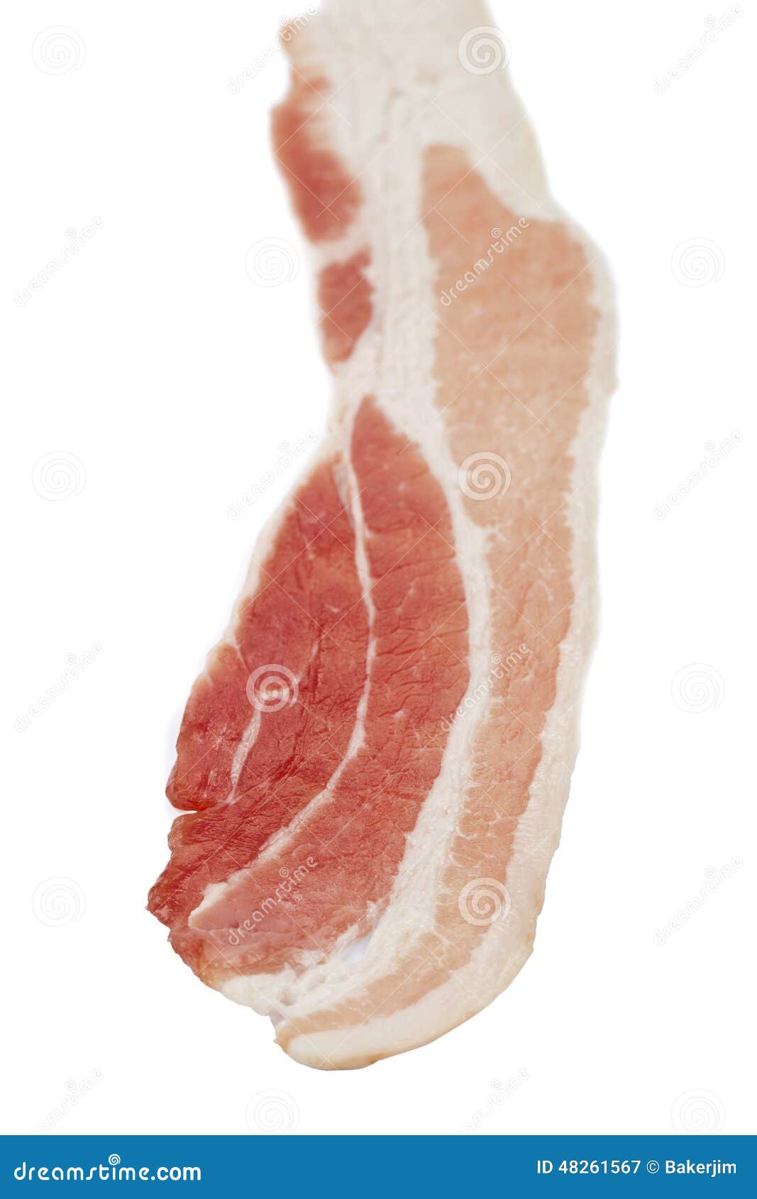 Tranche de lard de lard image stock. Image du lard, cuisine 48261567