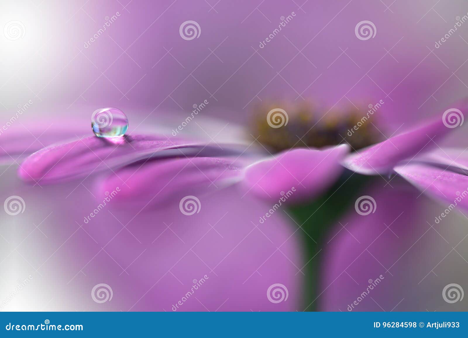 tranquil abstract closeup art background.macro photography,water drops.beautiful nature.floral art.creative wallpaper.celebration.