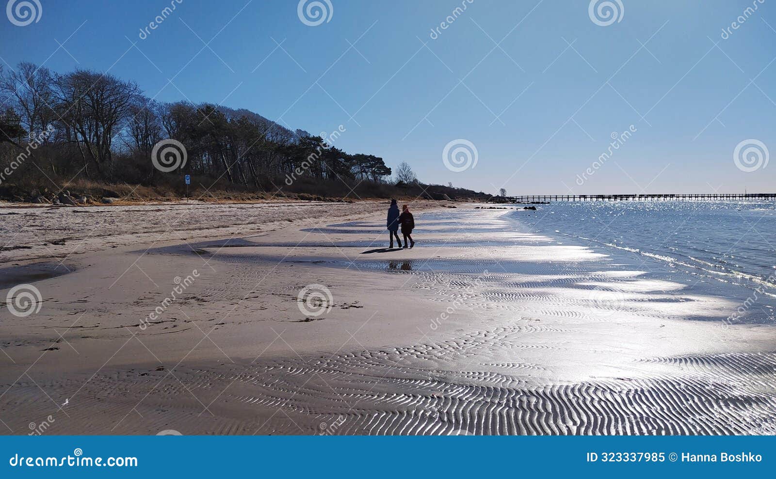 north sea - beach - rydebck spring landscape