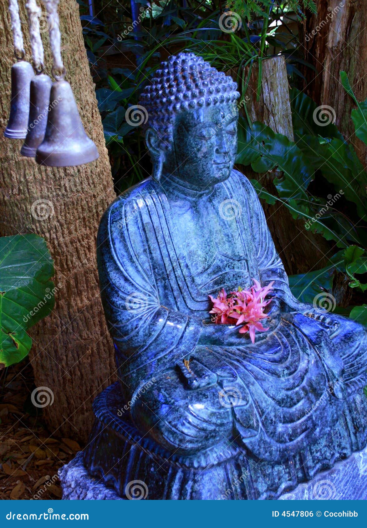 tranquil buddah