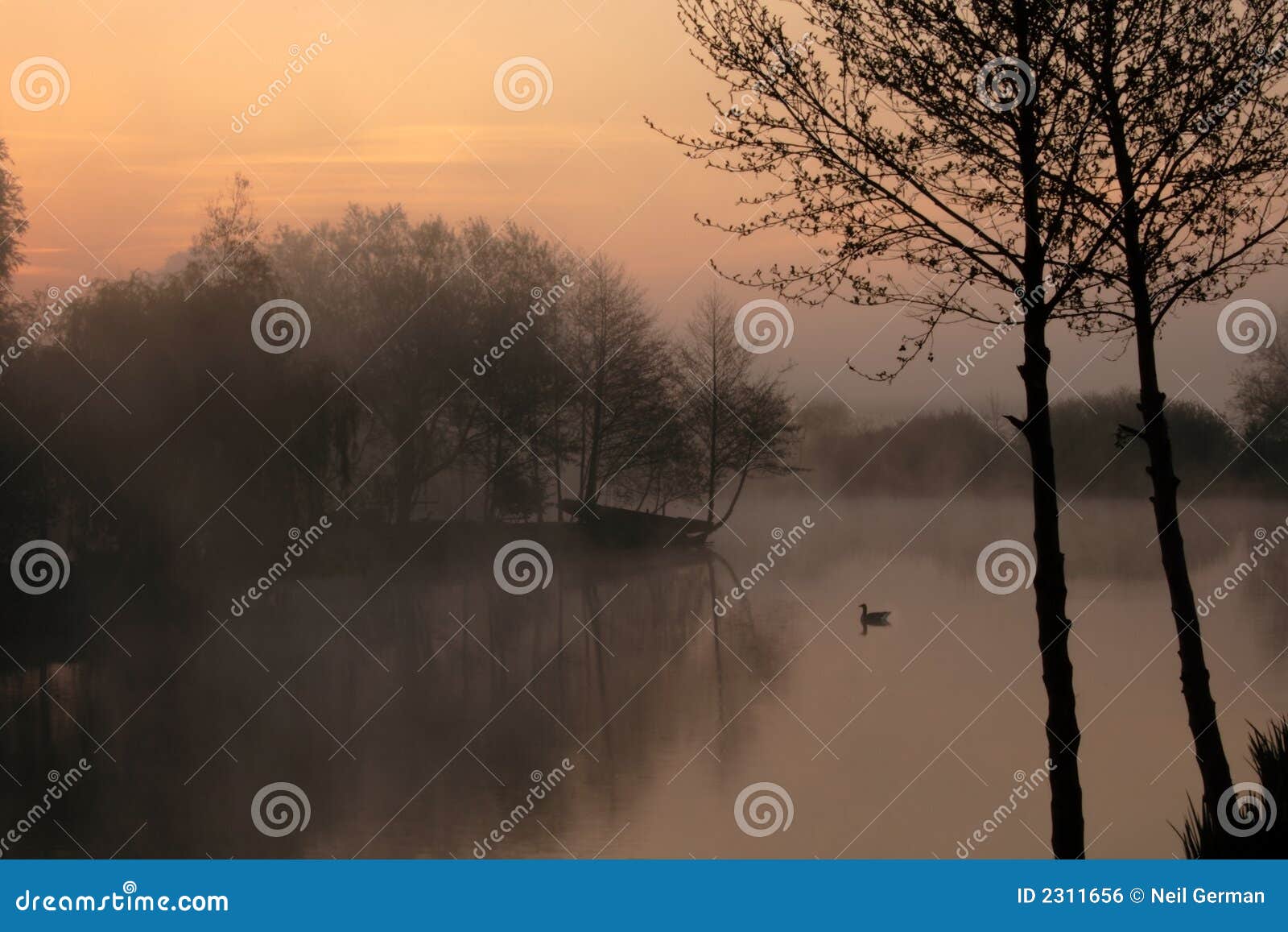 tranquil misty lake at dawn