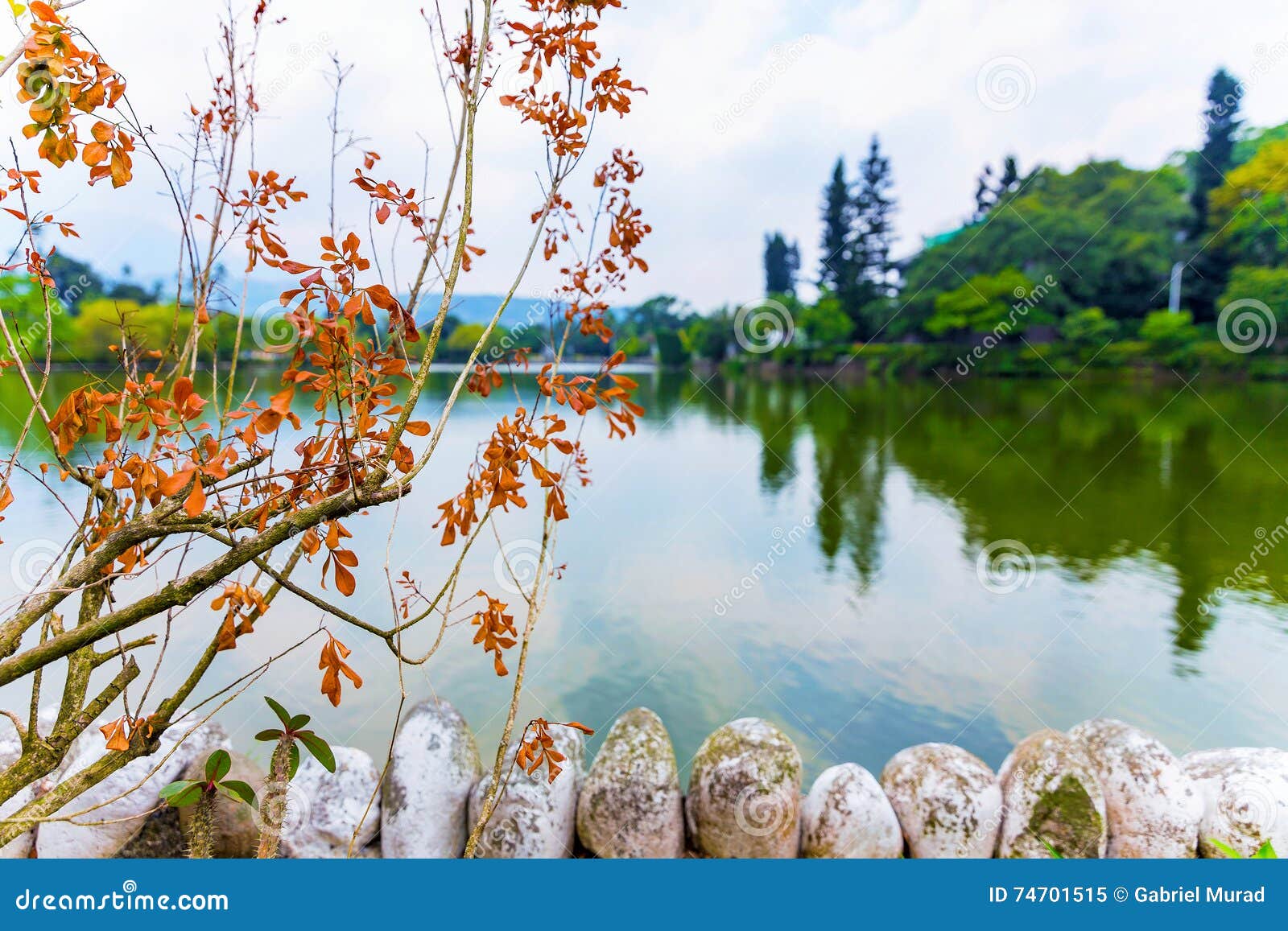 Tranquil nature scene stock image. Image of taiwan, environment 74701515