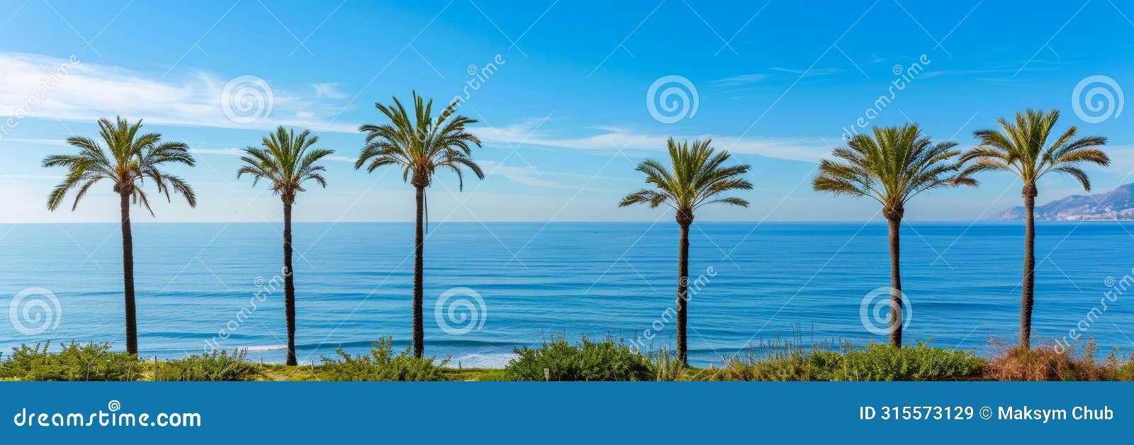 tranquil oasis conquering sea blindness in the midst of serene palm trees allure
